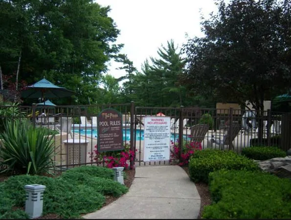 Tall Pines Motel