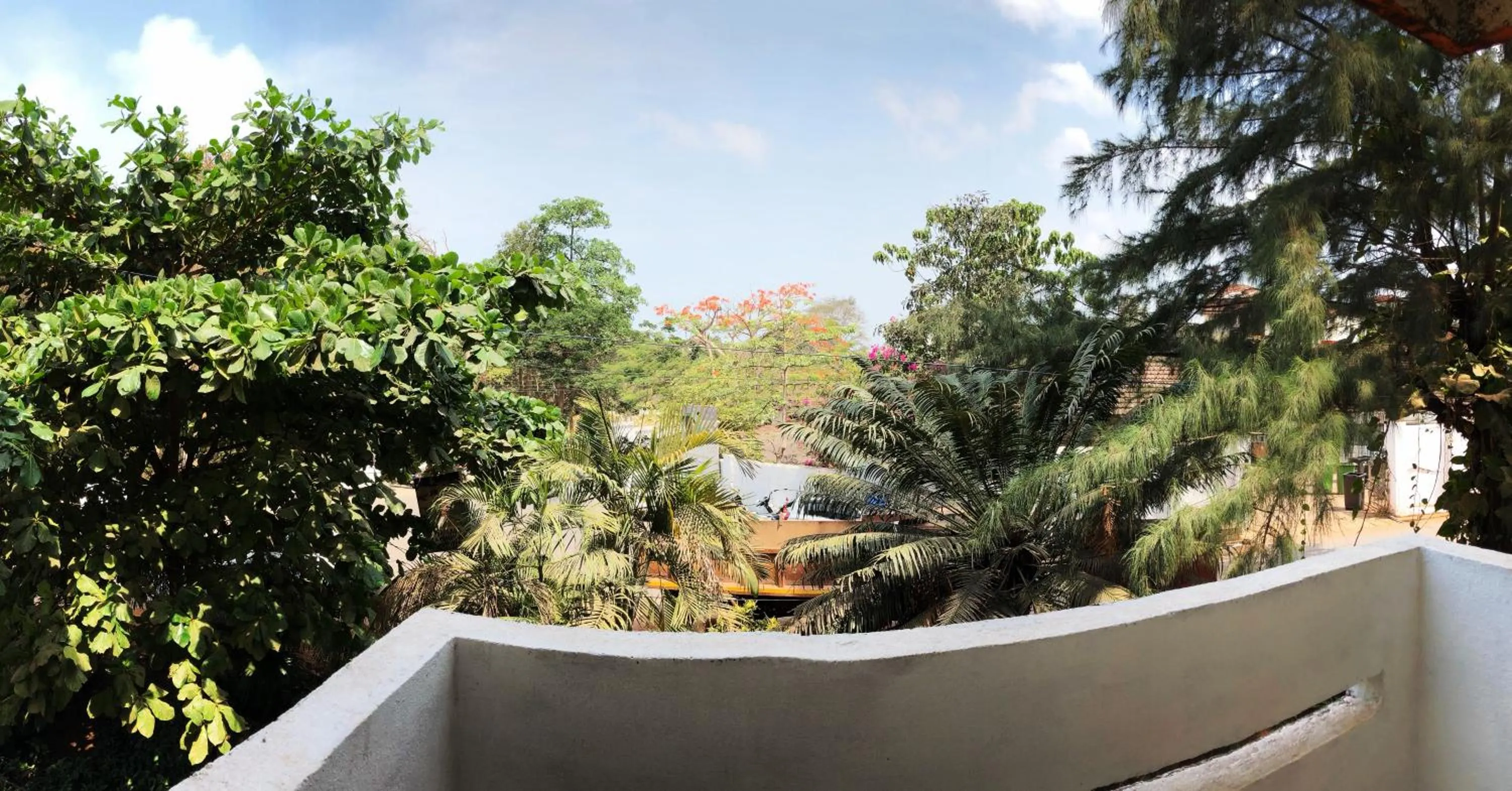 Balcony/Terrace in Hotel Paulino