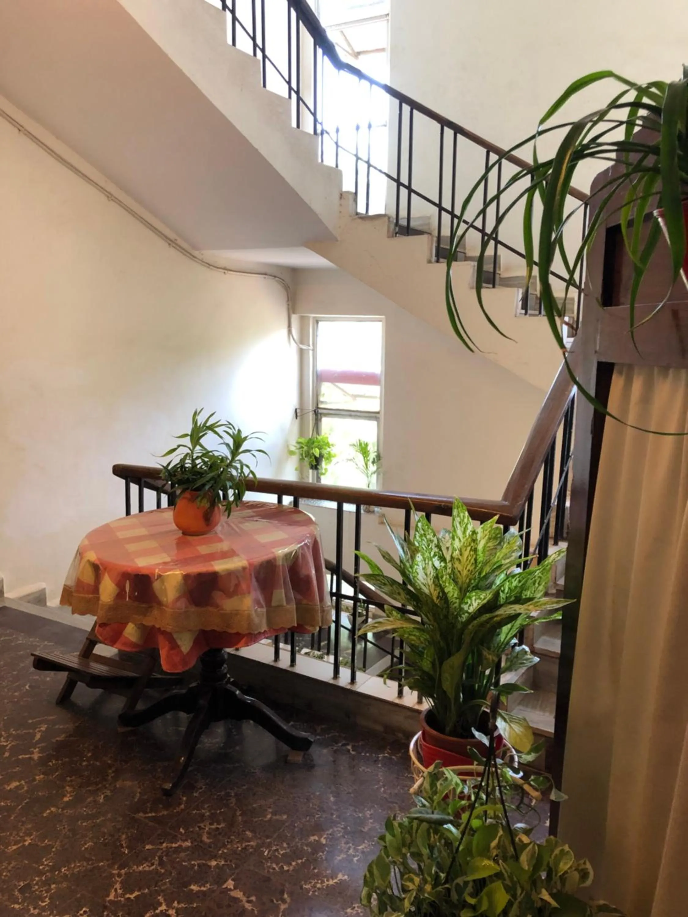 Property building in Hotel Paulino