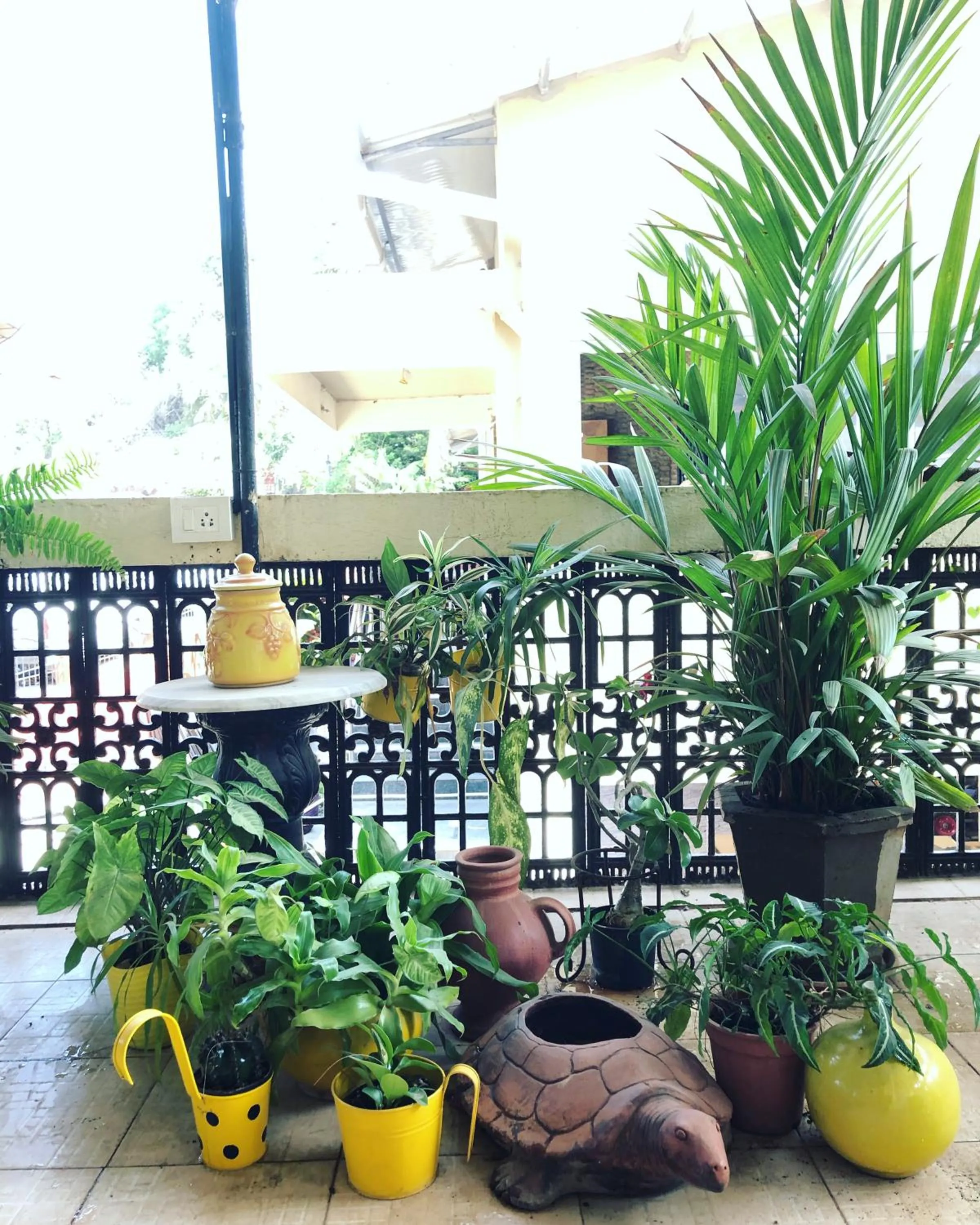 Balcony/Terrace in Hotel Paulino