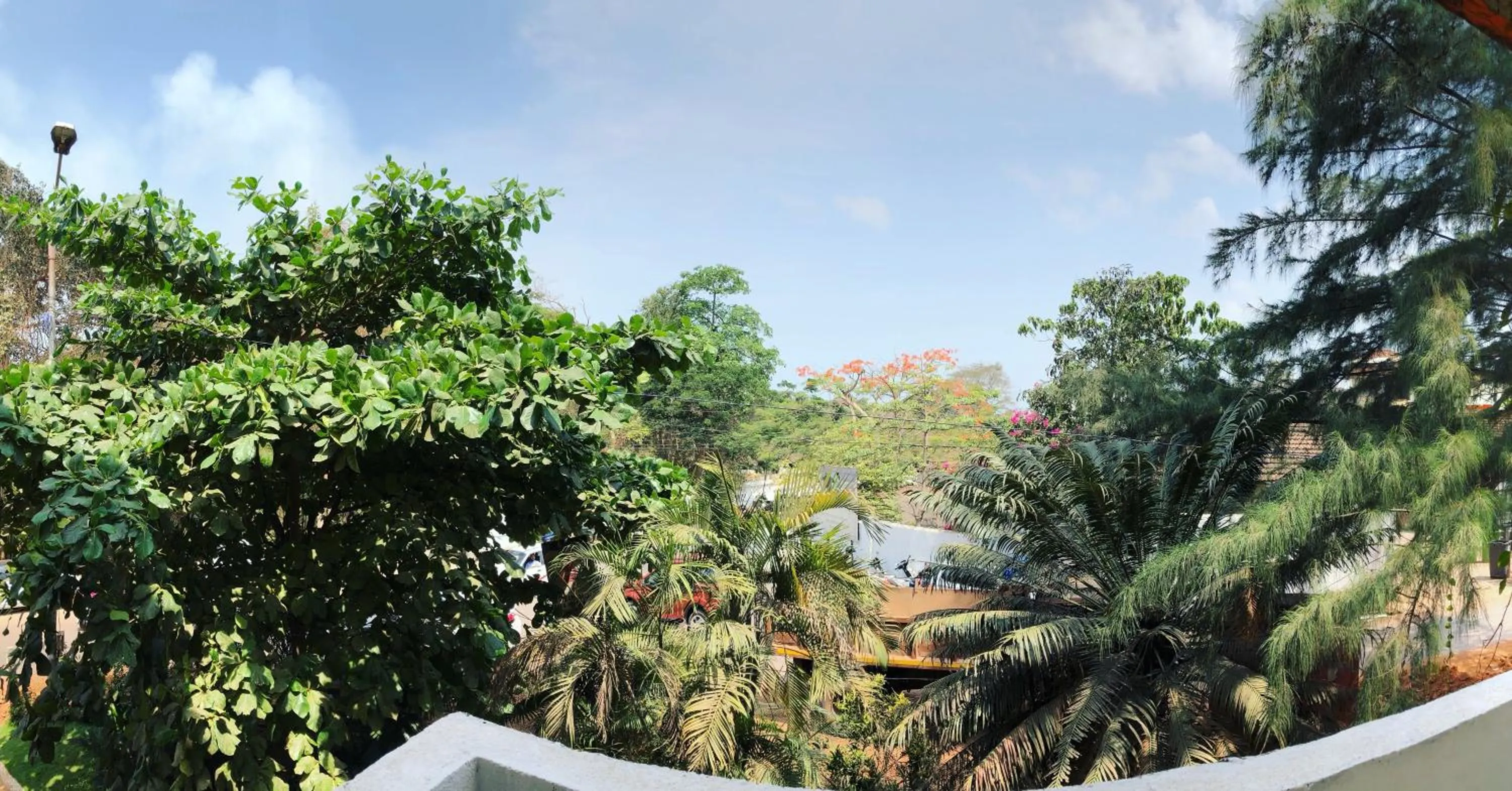 Natural landscape in Hotel Paulino
