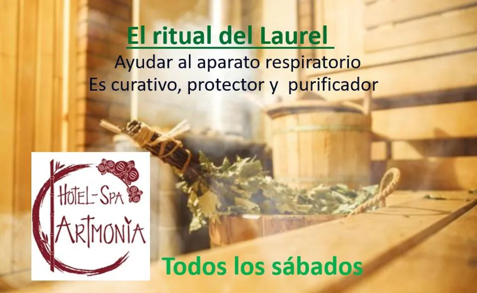 Spa and wellness centre/facilities in Artmonia