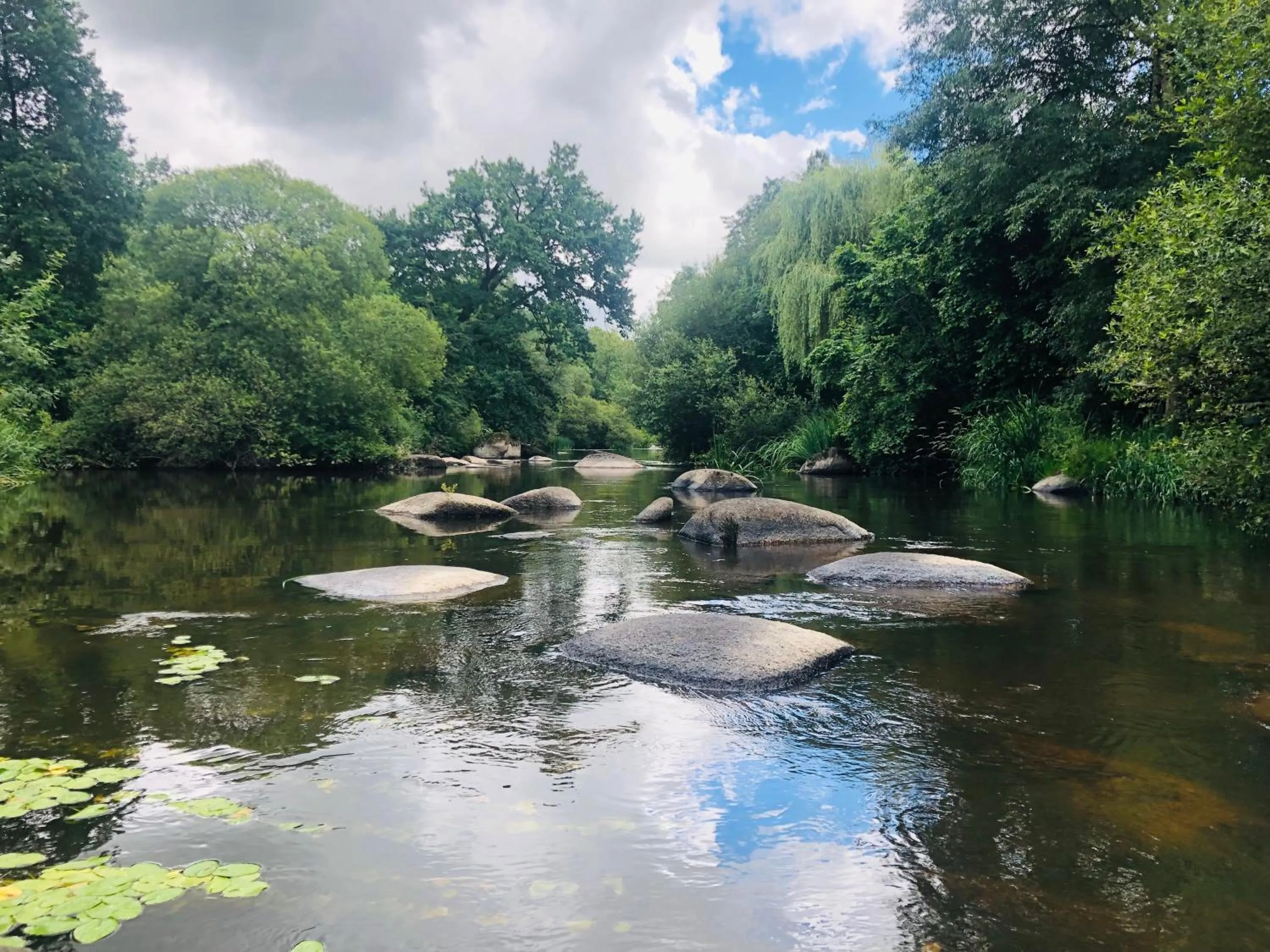 View (from property/room) in Le Bord de Sèvre
