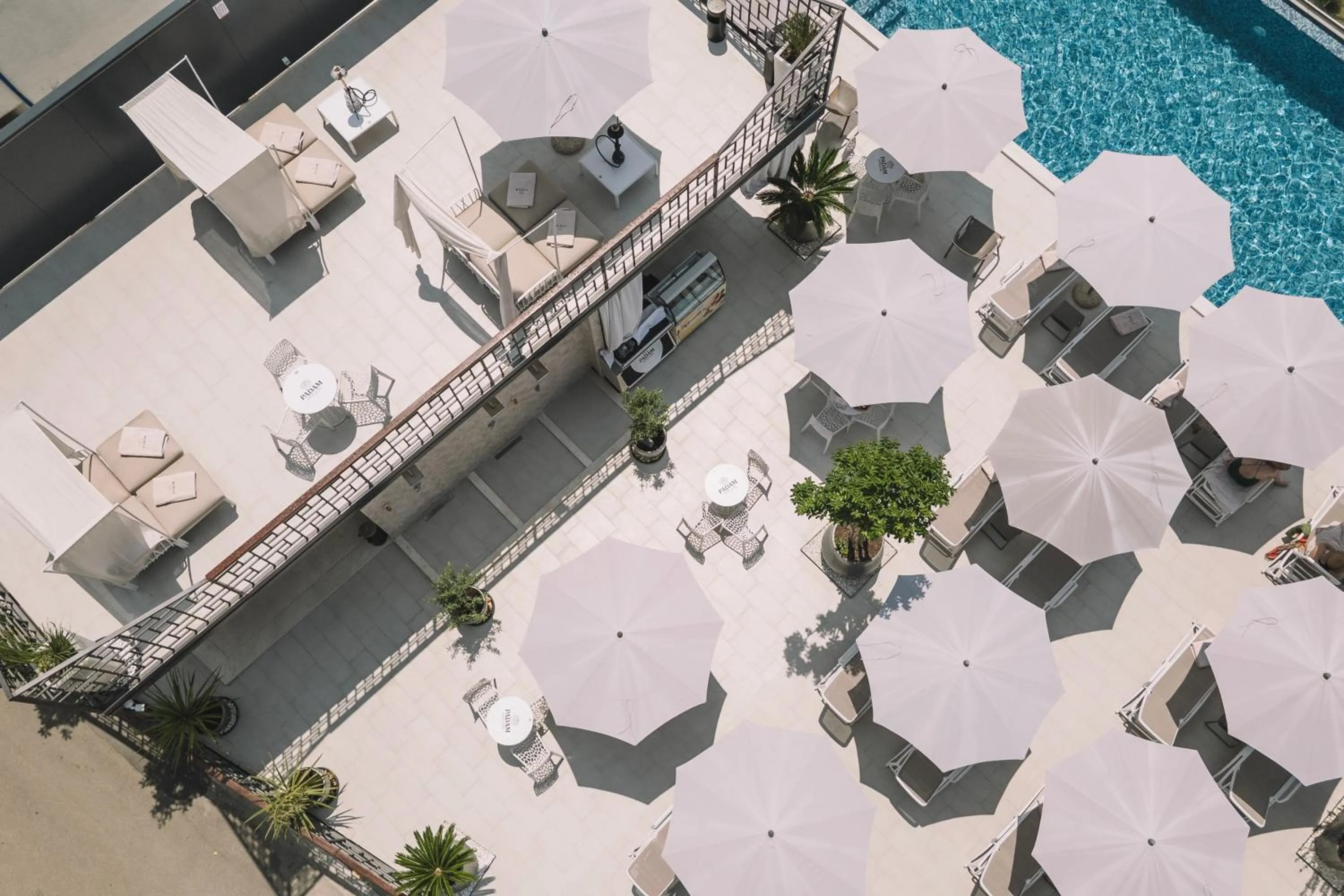 Restaurant/places to eat in Padam Hotel & SPA