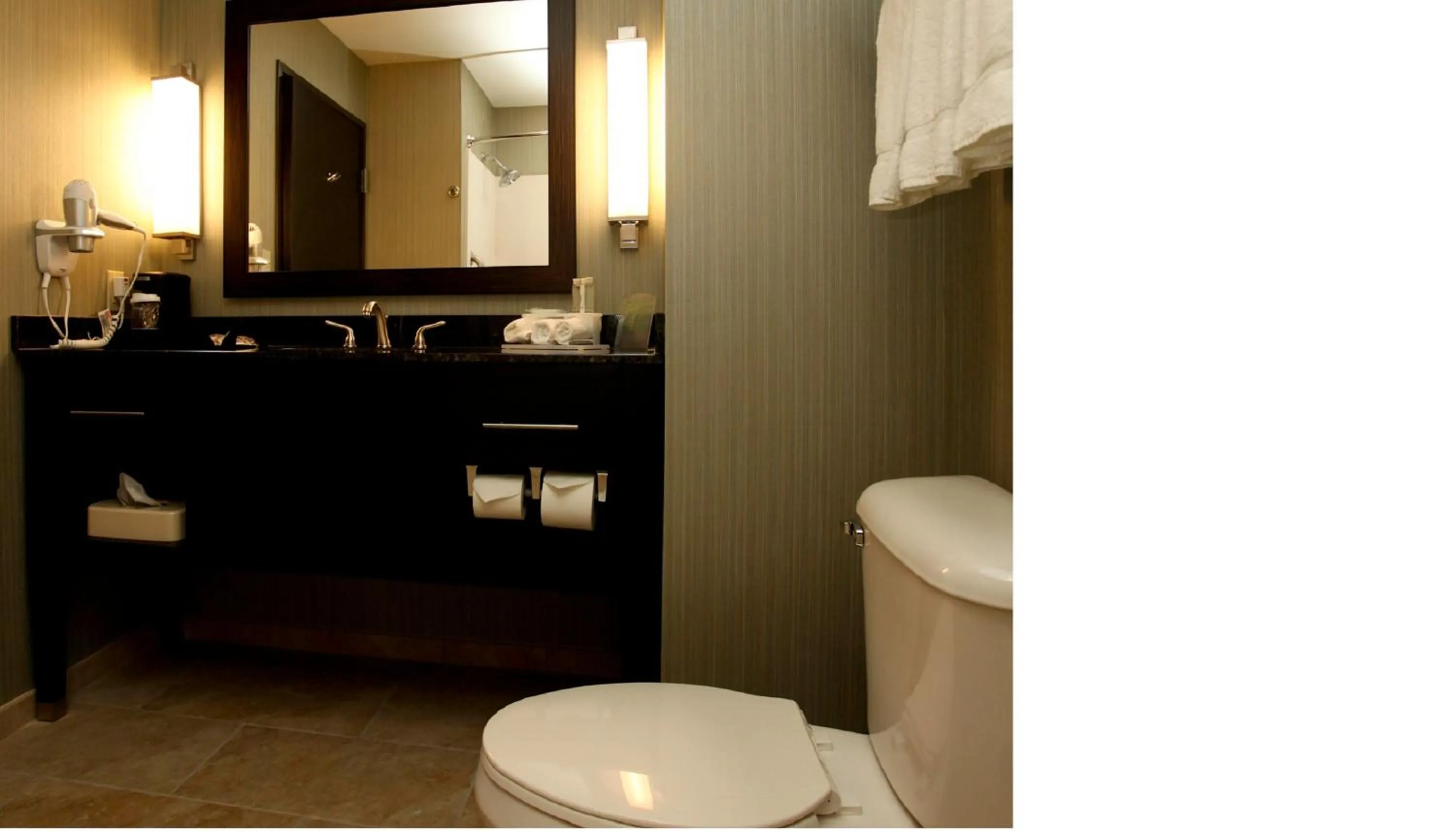 Bathroom in Holiday Inn Express & Suites Marion Northeast by IHG