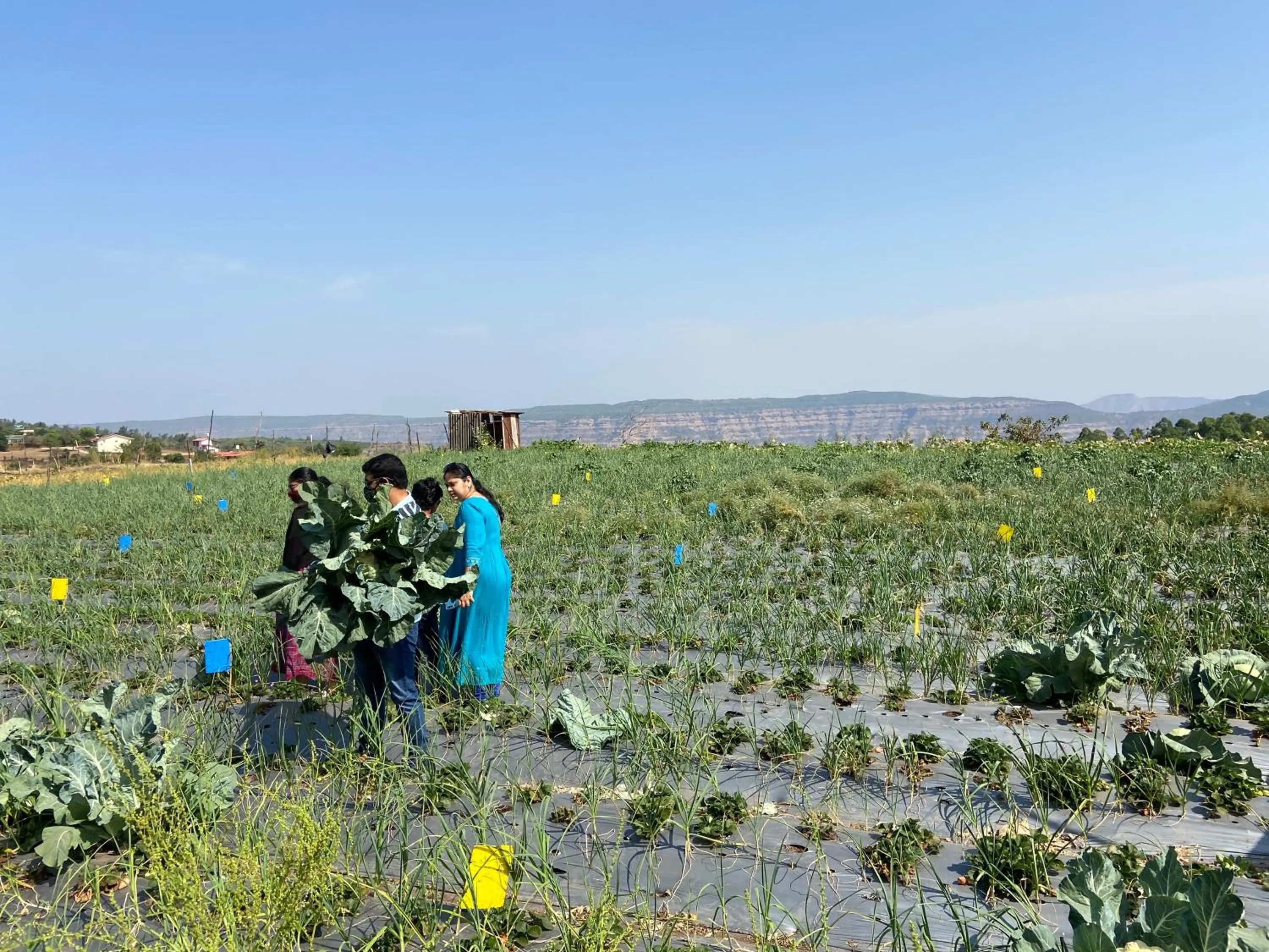 Entertainment in Hotel Lake Paradise Mahabaleshwar