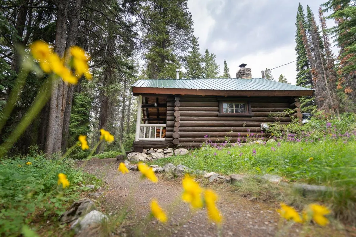 Property building in Storm Mountain Lodge & Cabins