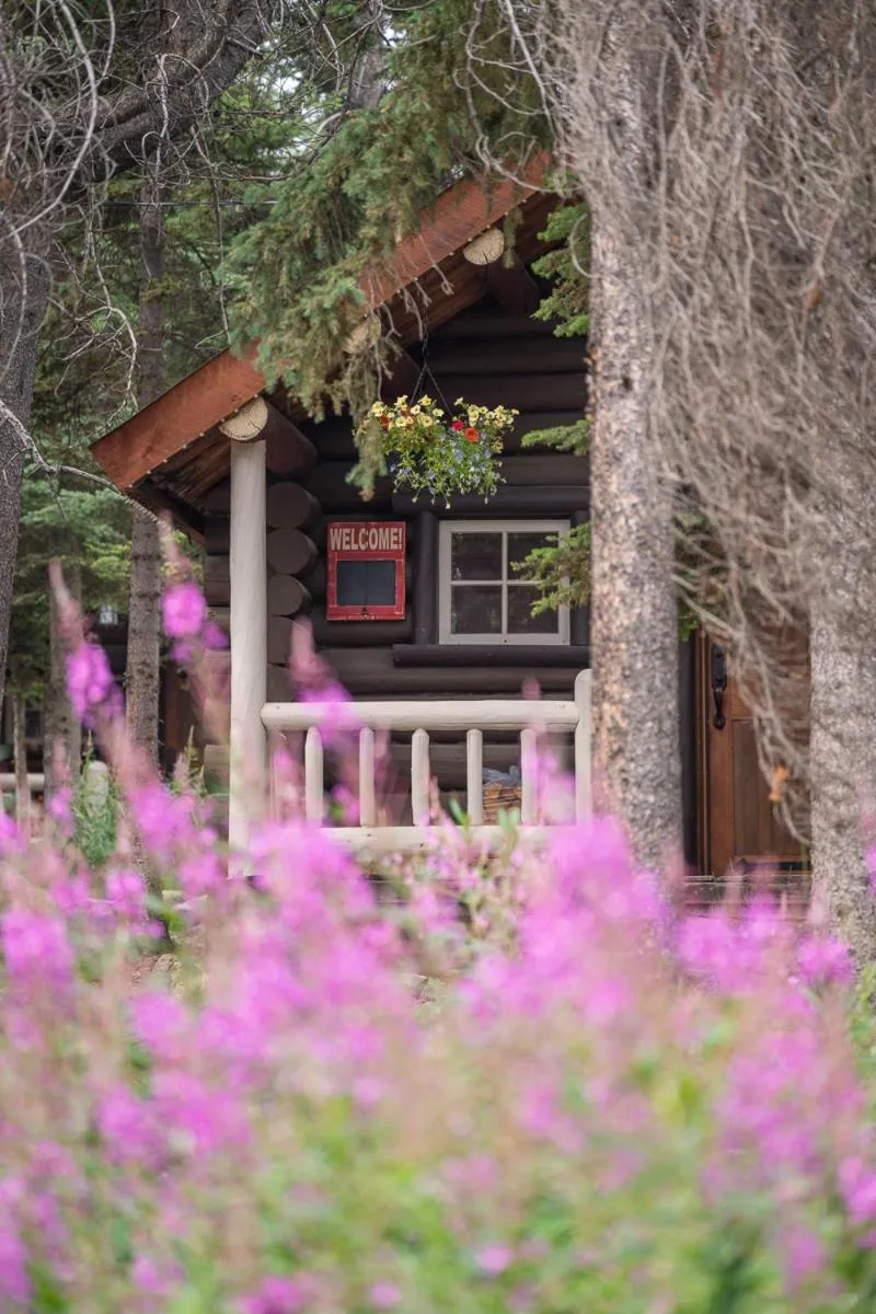 Property building in Storm Mountain Lodge & Cabins
