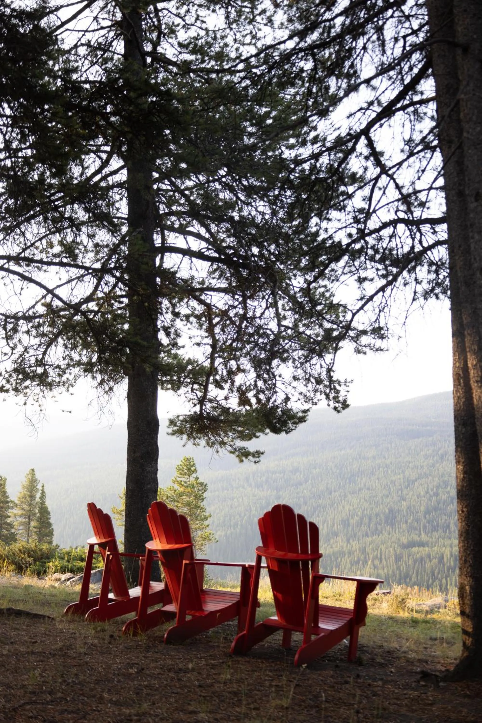 Other in Storm Mountain Lodge & Cabins