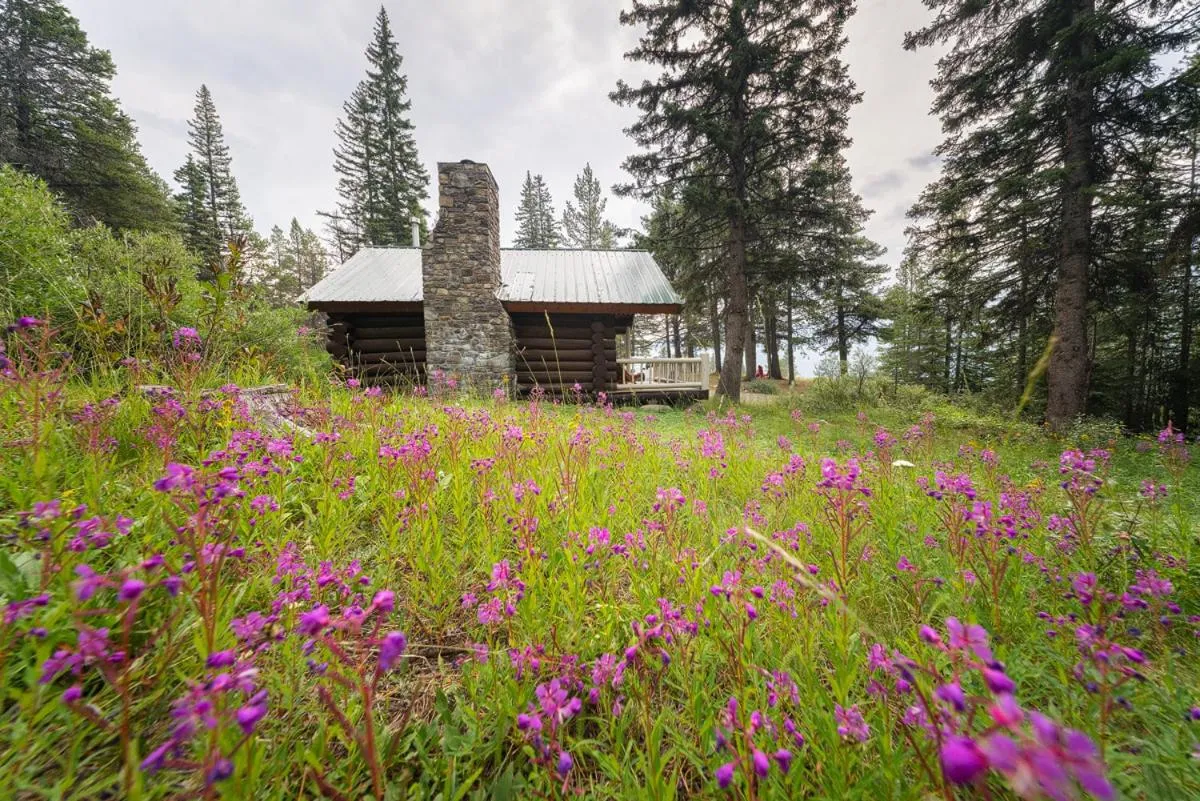 Property building in Storm Mountain Lodge & Cabins