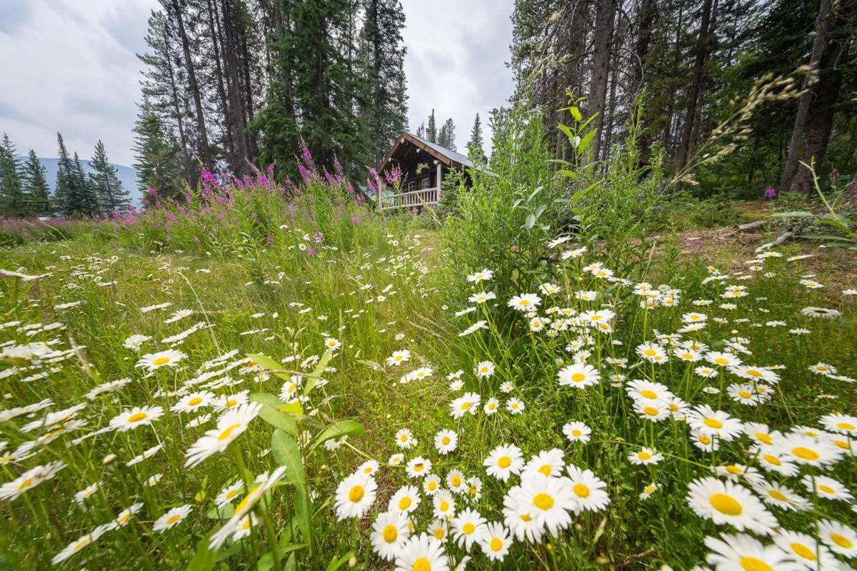 Spring in Storm Mountain Lodge & Cabins