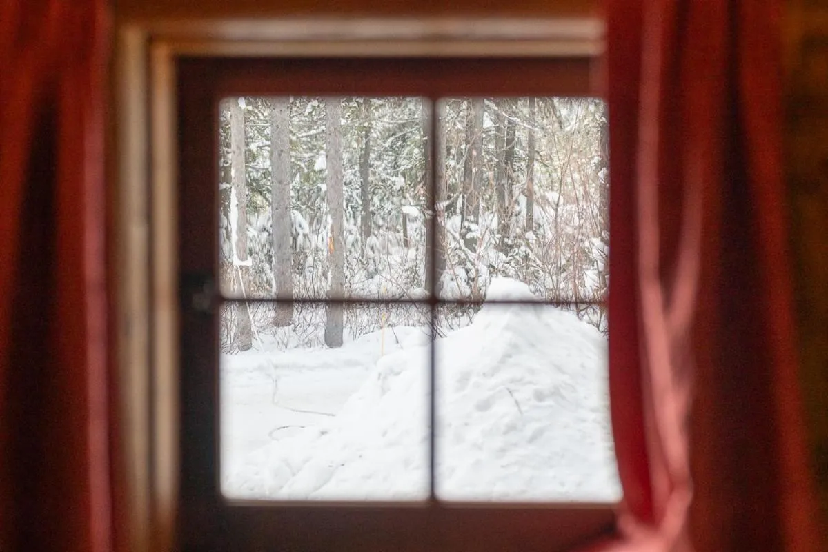 Natural landscape in Storm Mountain Lodge & Cabins