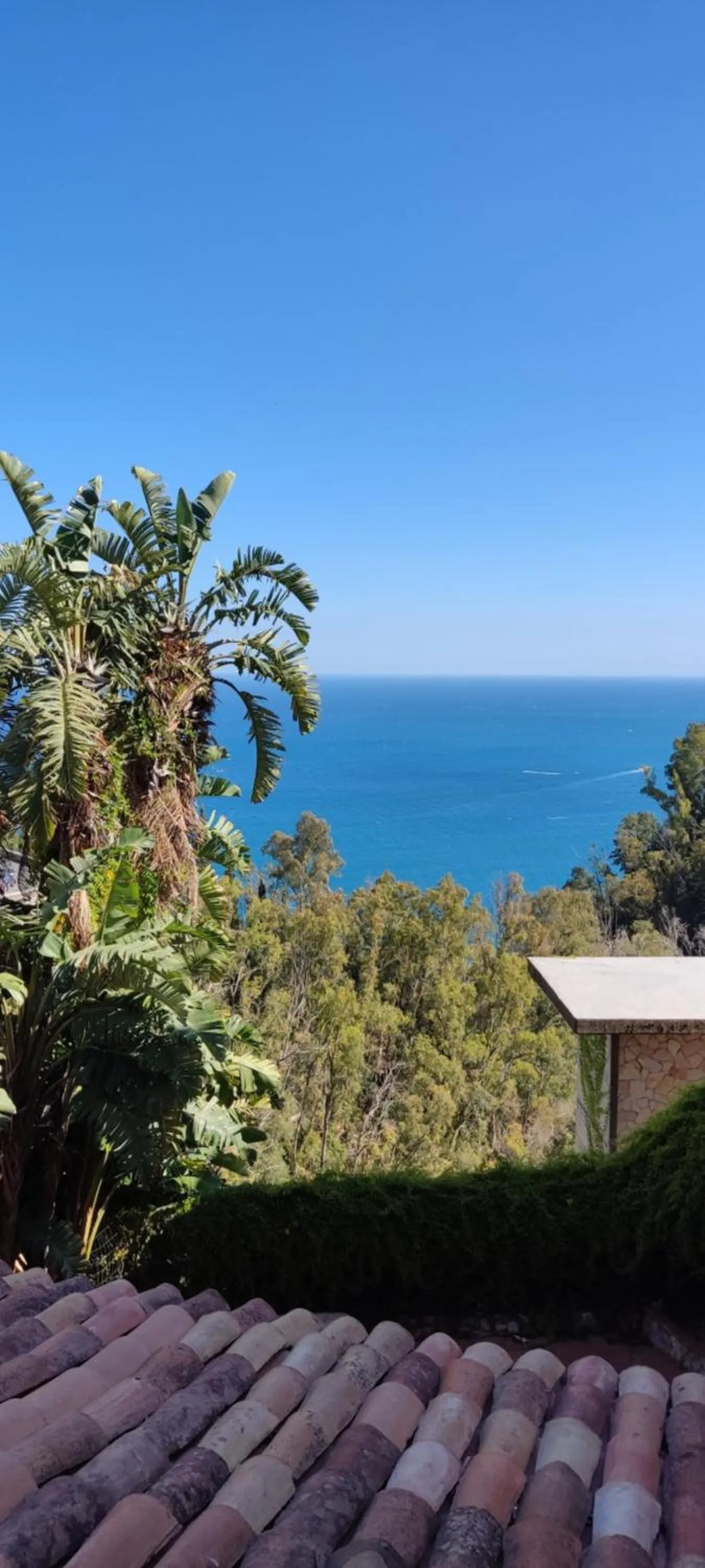 Natural landscape in B&B AKROPOLIS