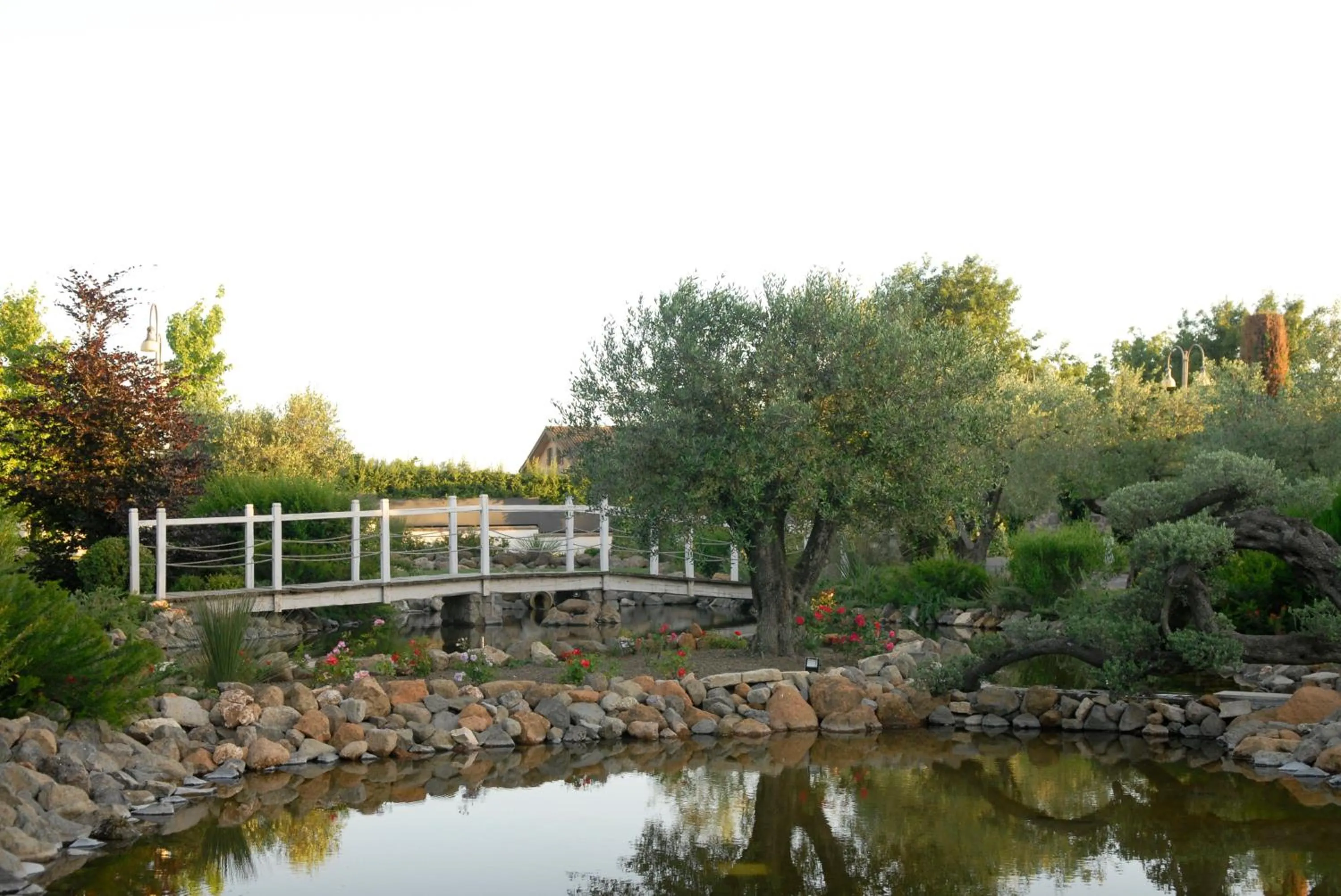 Garden view in Villa Domus Petra