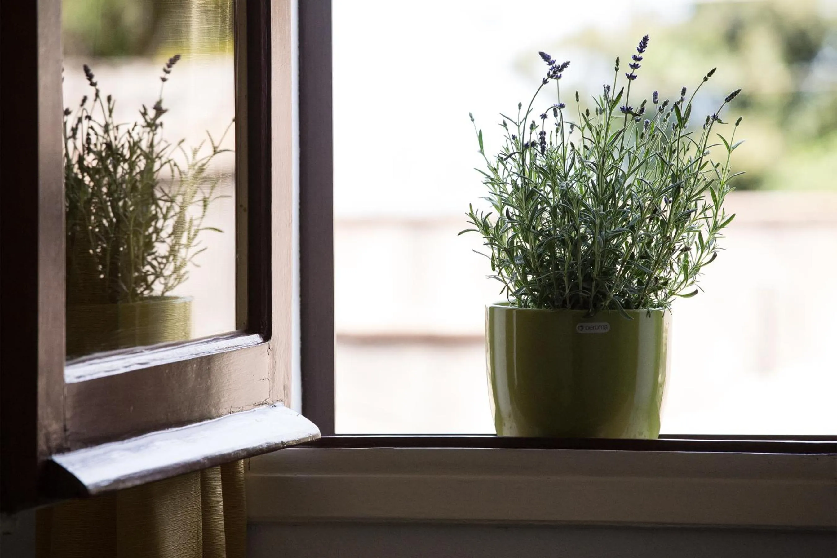 Other in Bella Vista b&b