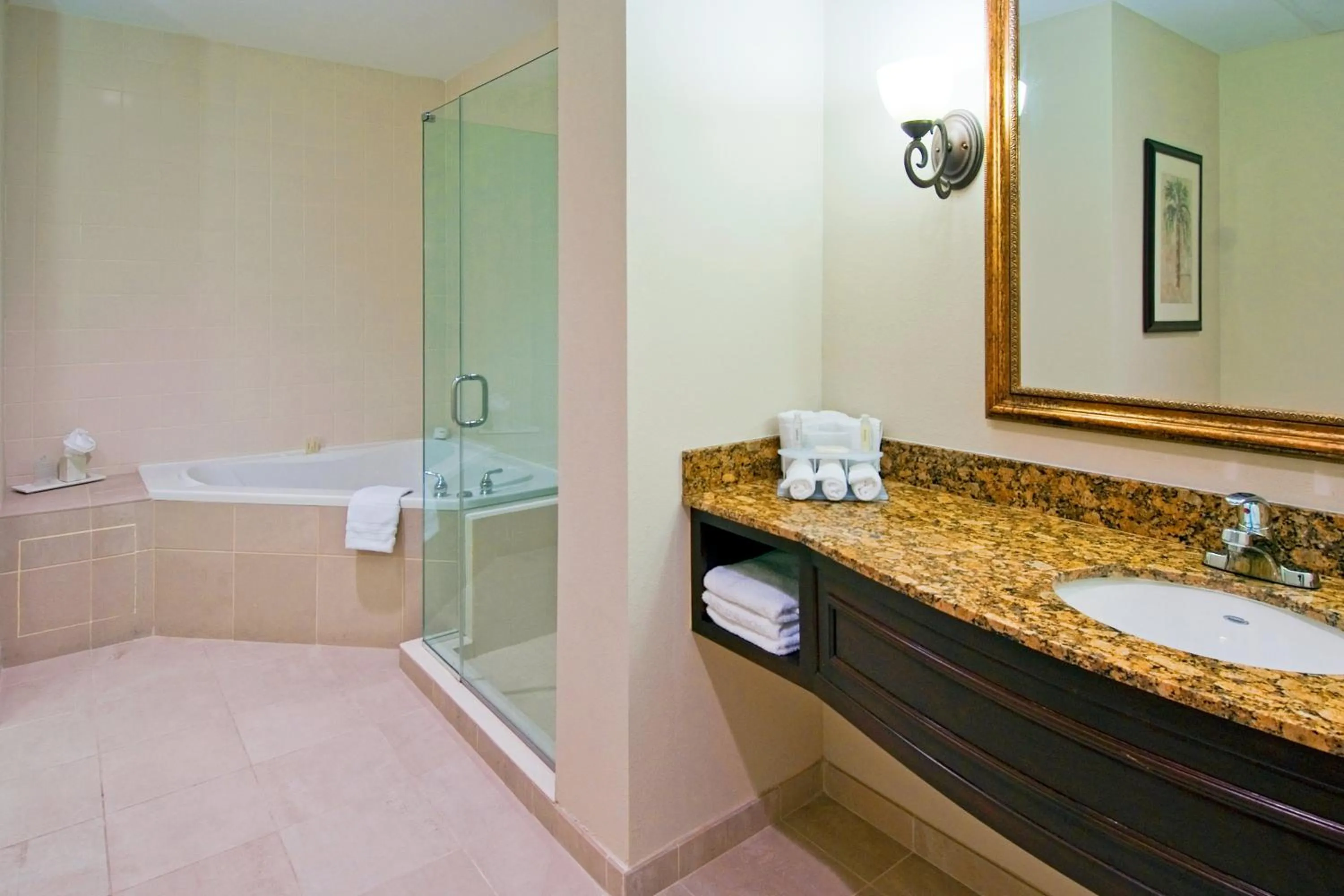 Bathroom in Holiday Inn Express & Suites Miami Kendall by IHG