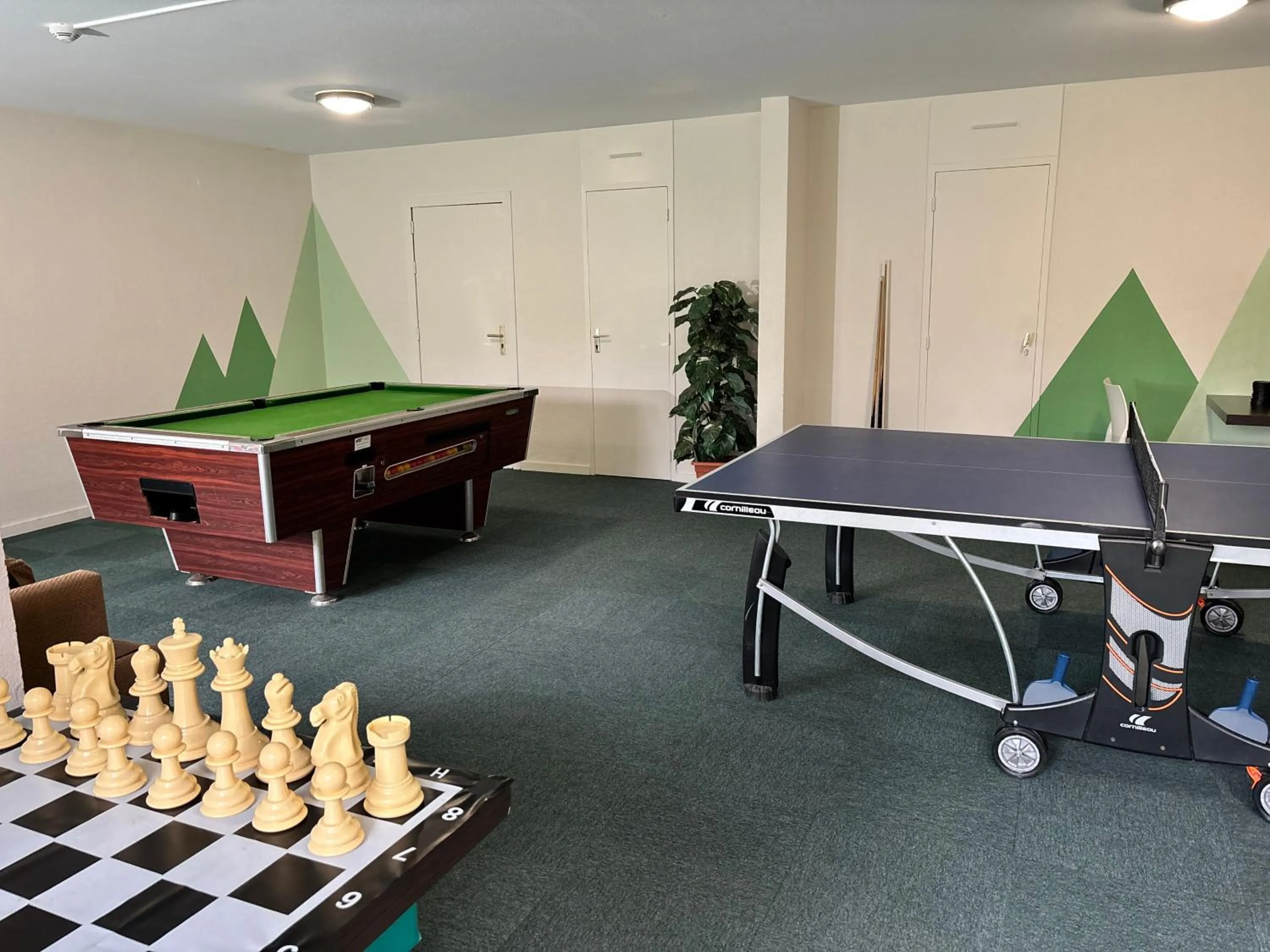 Billiard in Résidence Pierre & Vacances Ty Mat