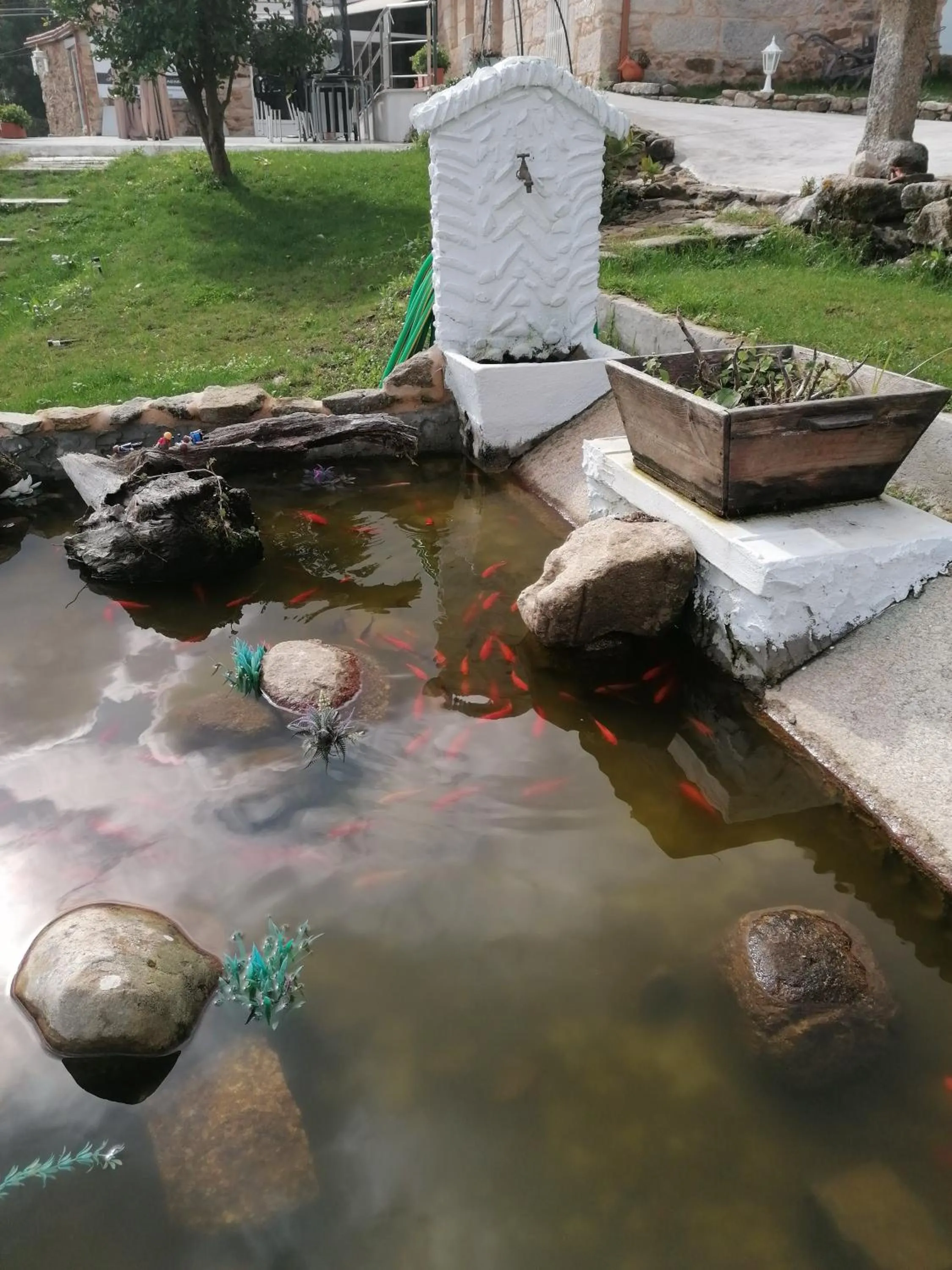 CARBALLO DE PRADO 1900