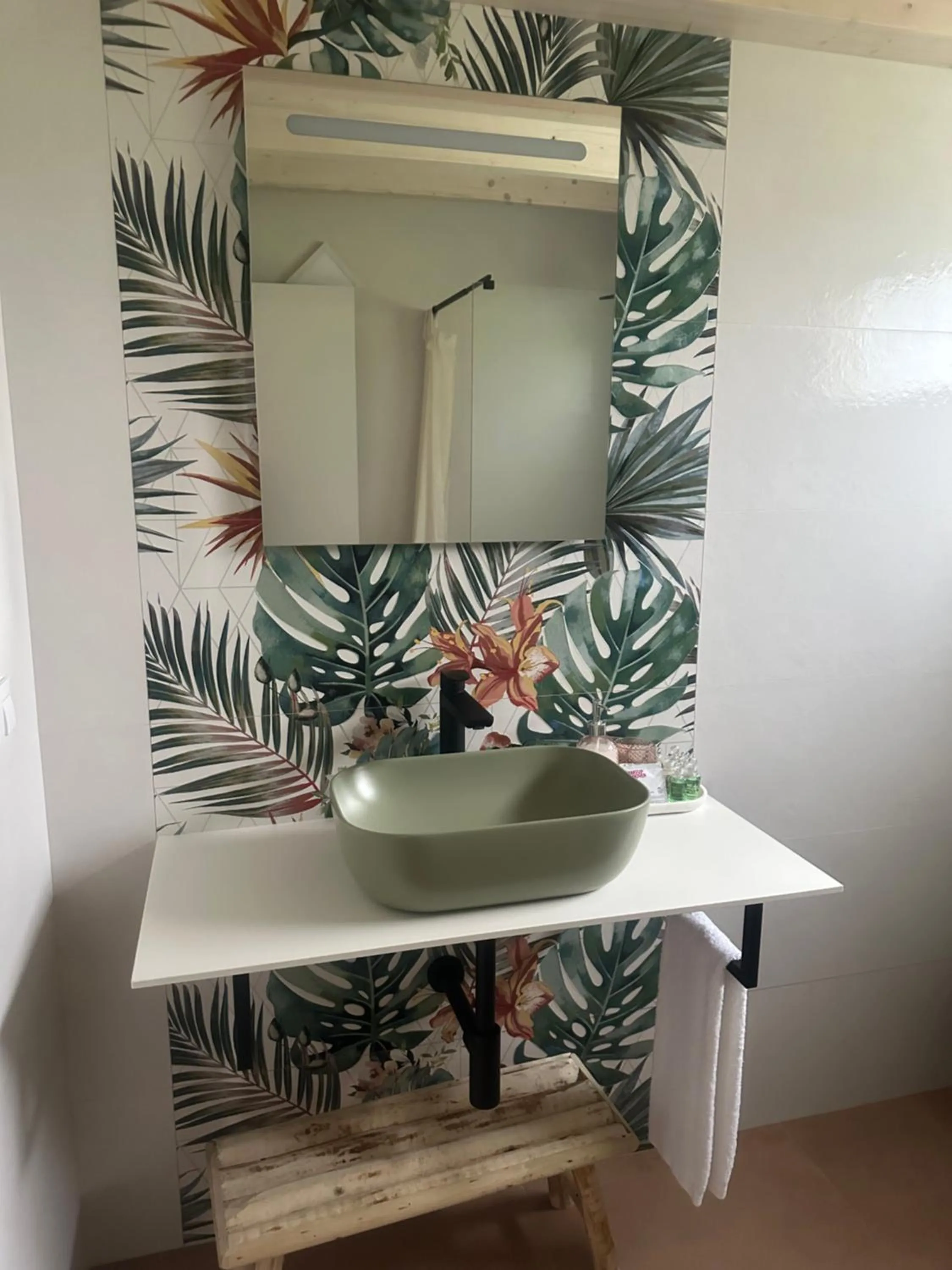 CARBALLO DE PRADO 1900