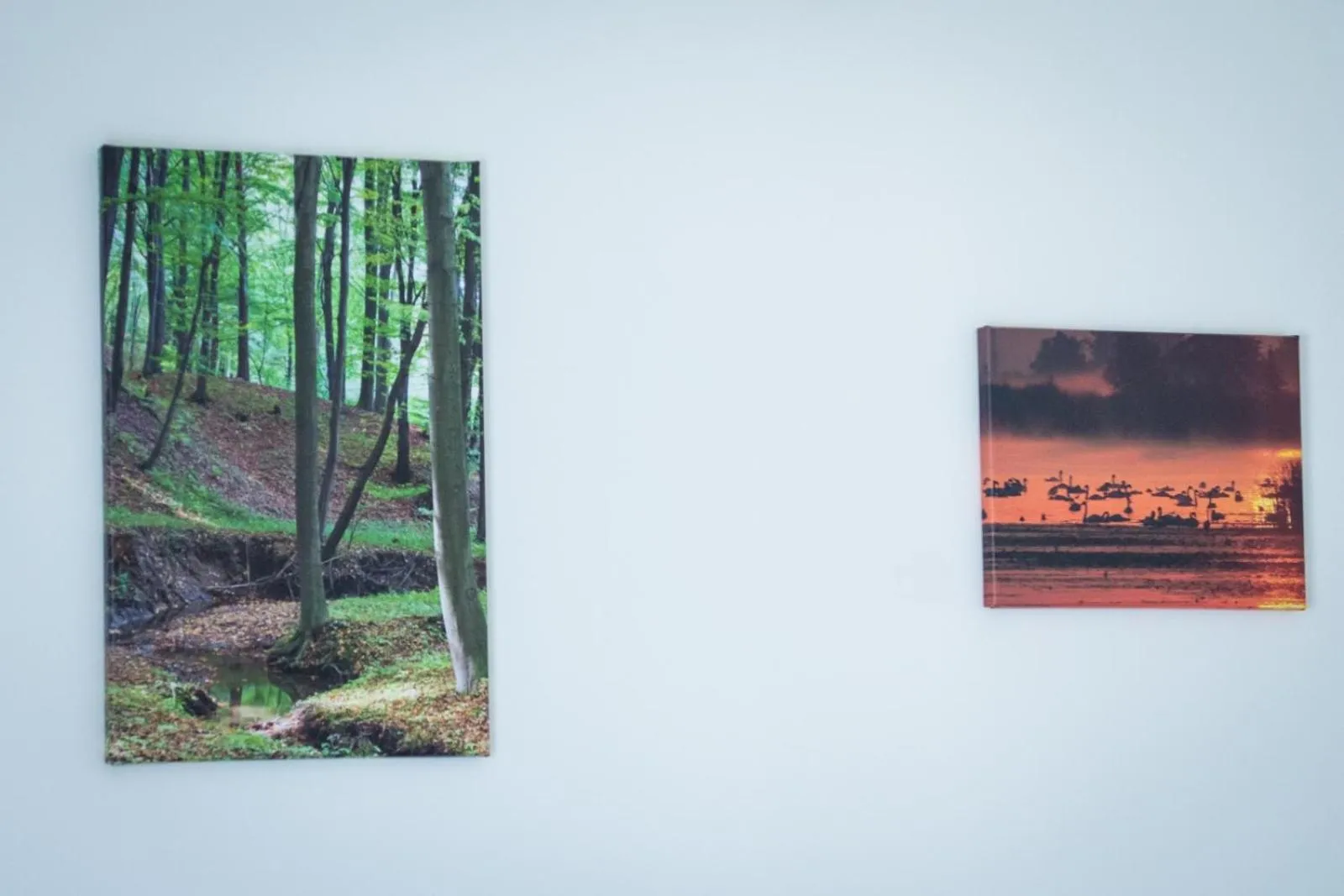 Photo of the whole room in Willa Boconek - Zator Przeciszów