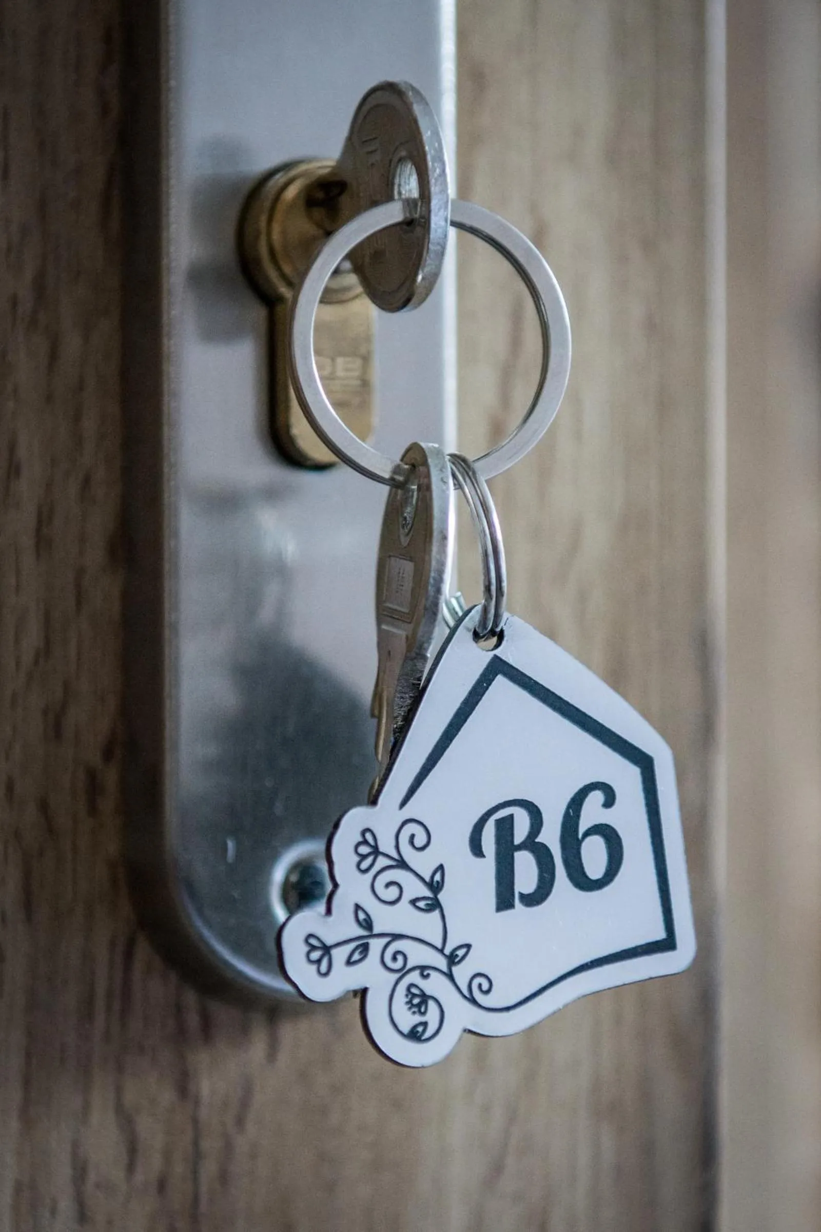 Logo/Certificate/Sign in Willa Boconek - Zator Przeciszów