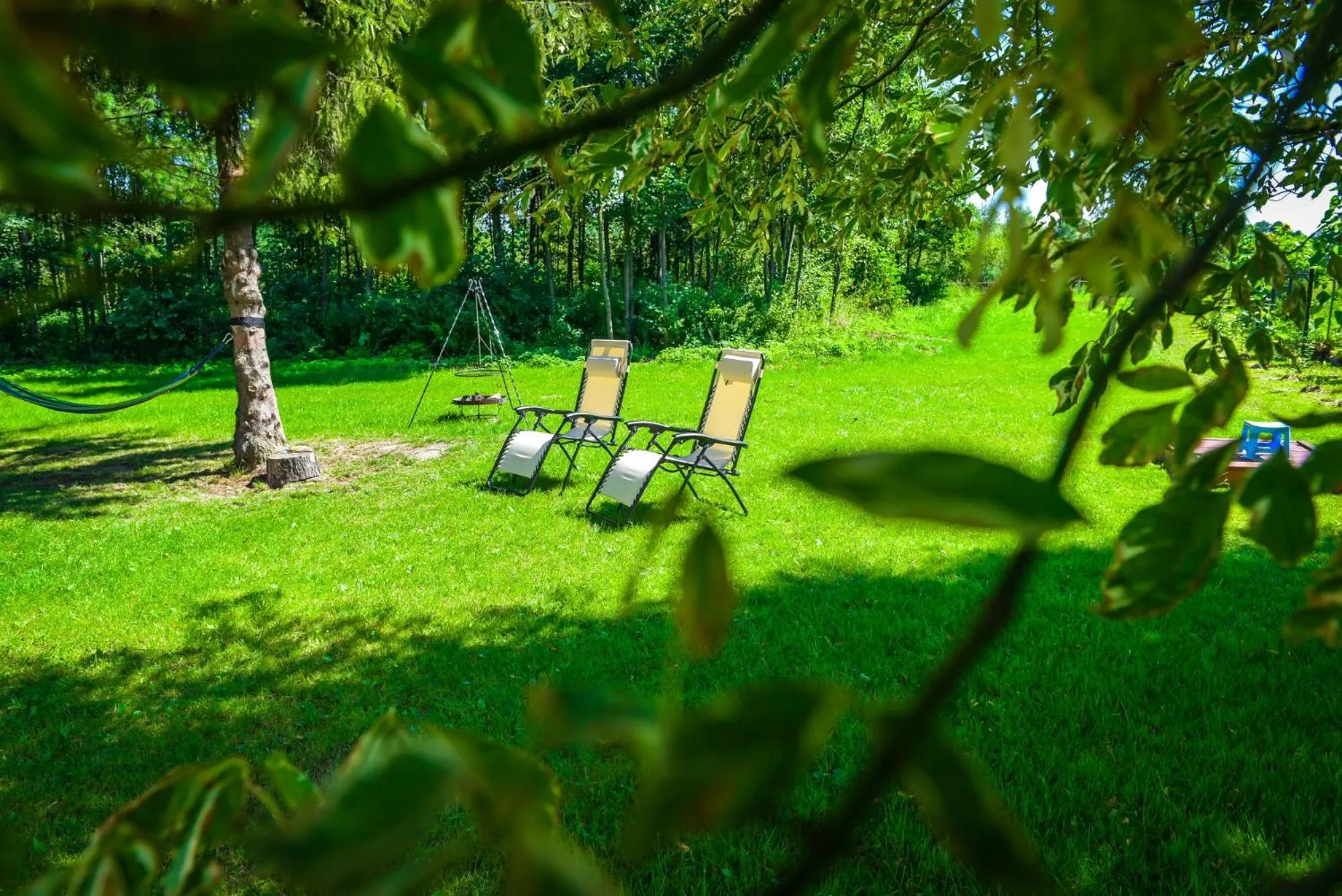 Garden in Willa Boconek - Zator Przeciszów