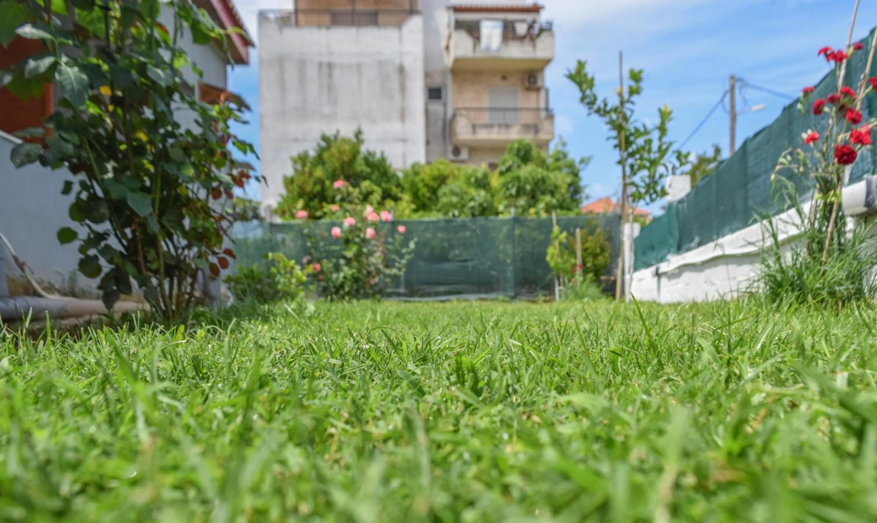 Property building in Rose Garden Apartments