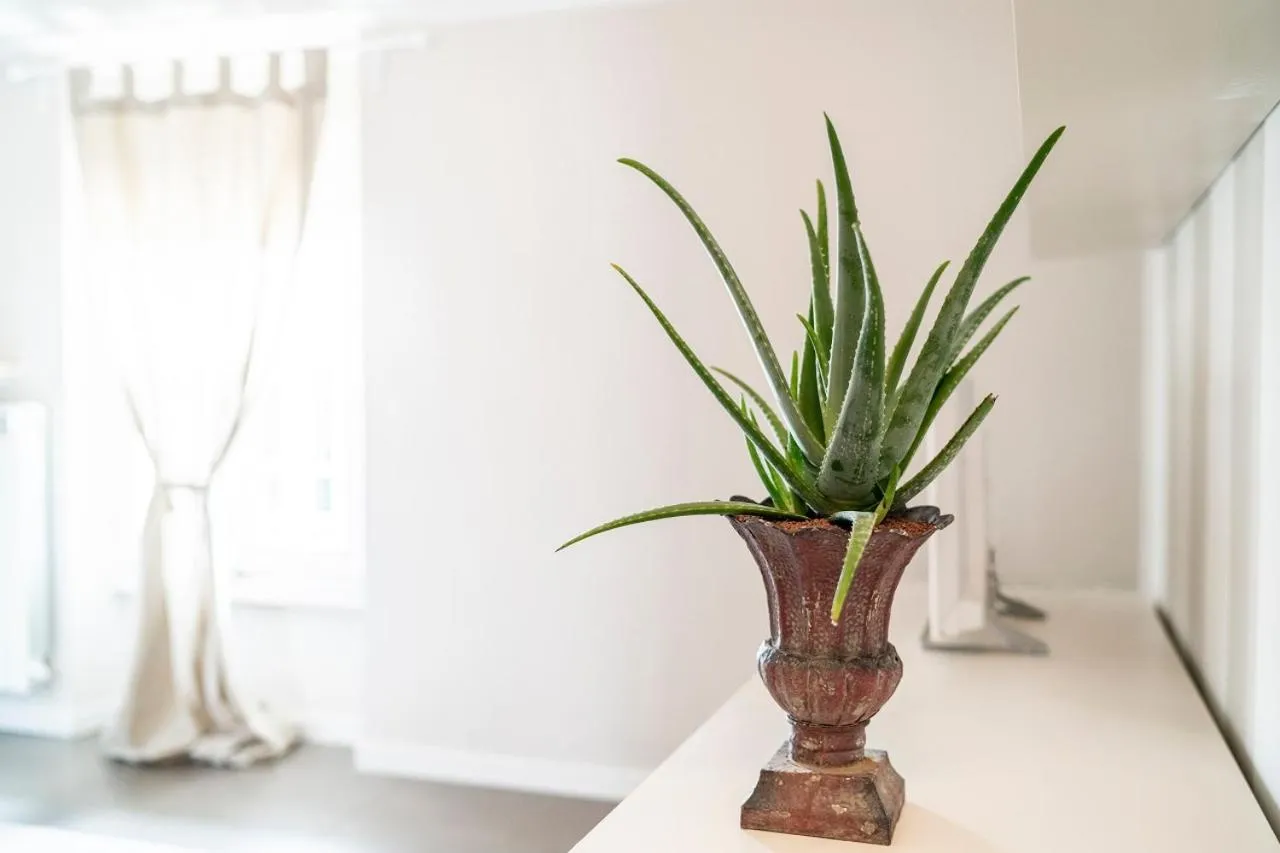 Decorative detail in L'Angelica Holiday Home