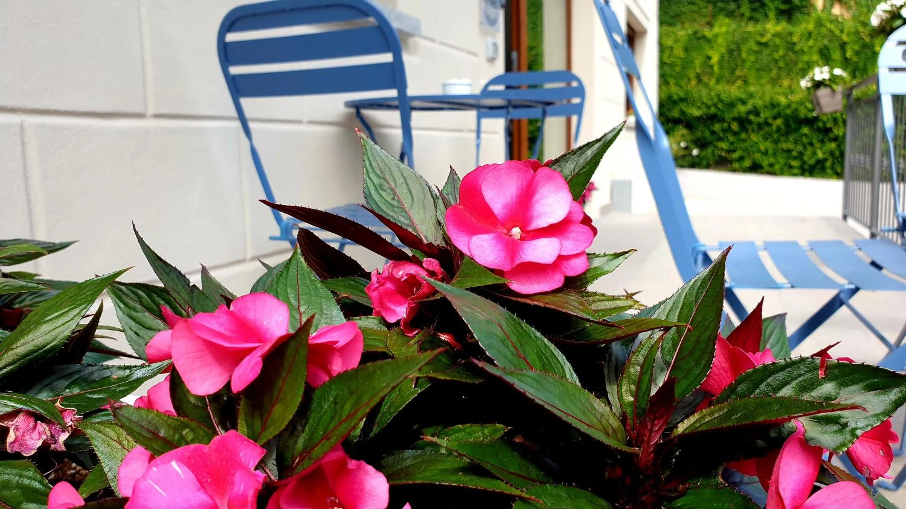 Balcony/Terrace in B&B I LAKE IT BELLAGIO