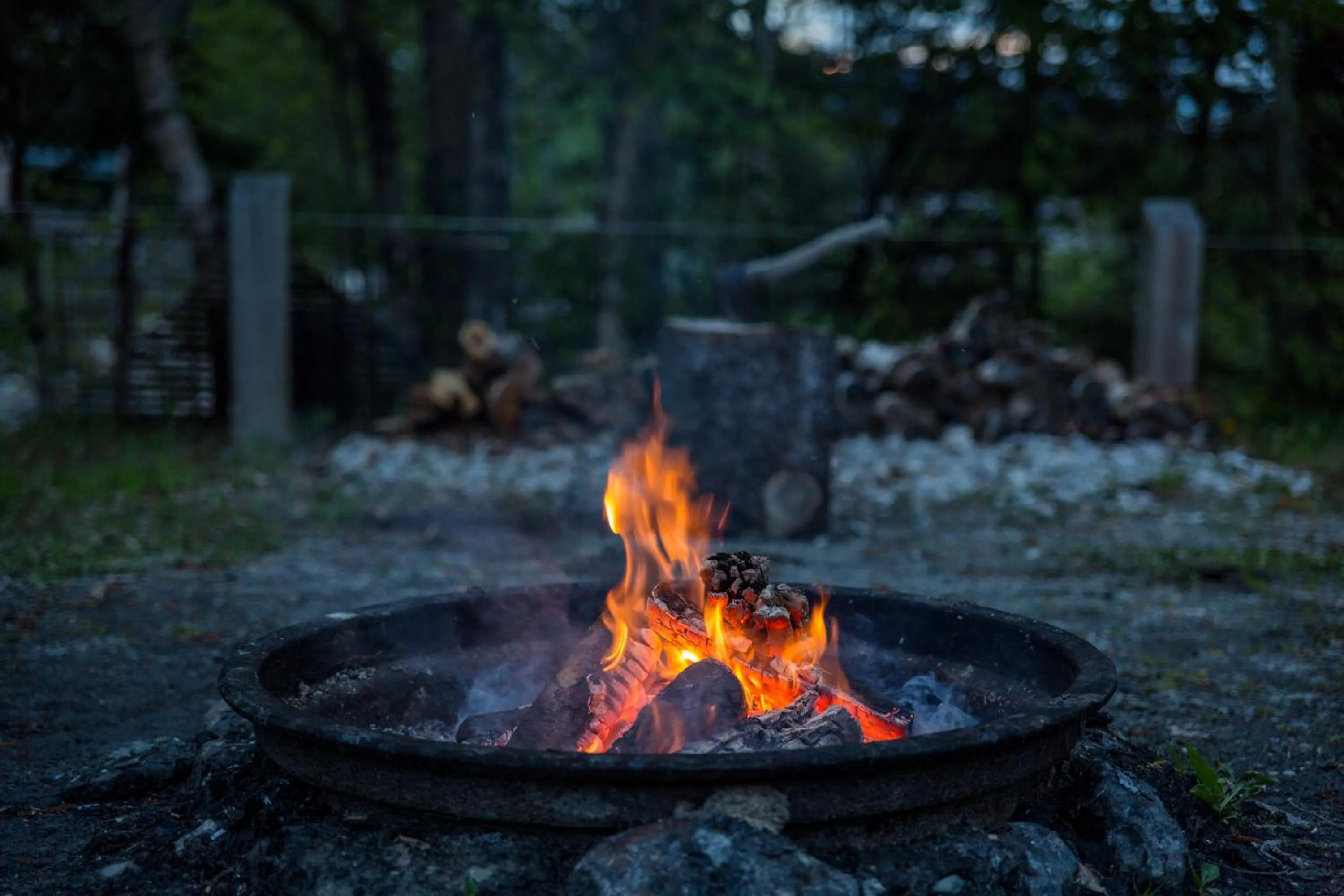 Garden in Middle Brook Cottages & Chalets