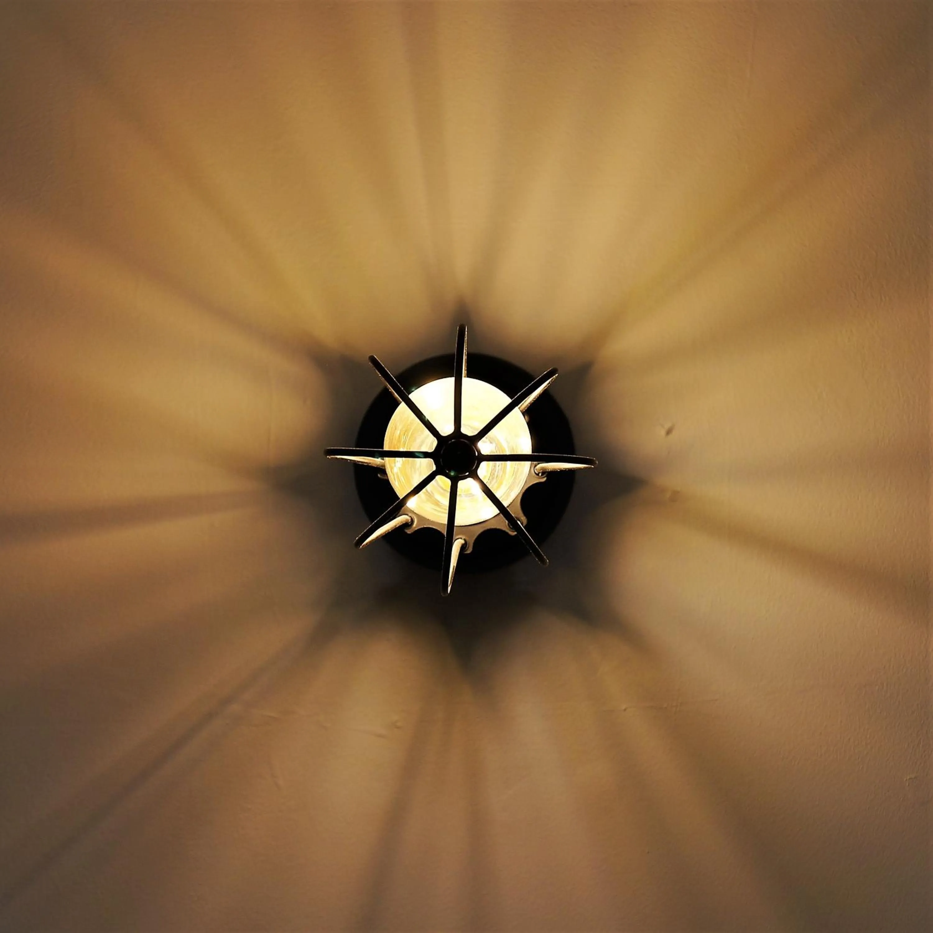 Area and facilities in HOSTEL Auberge Clarksdale