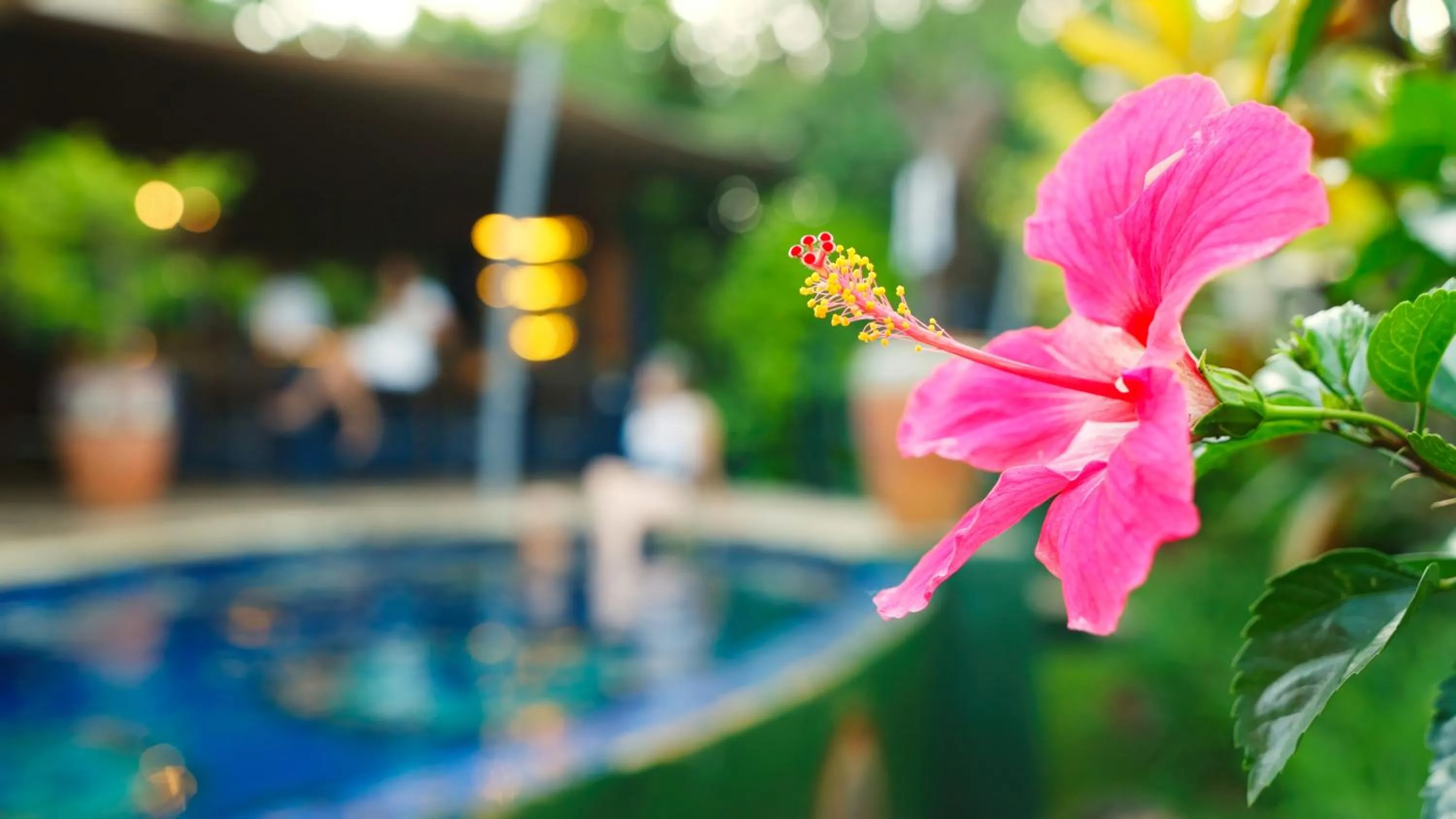 Swimming pool in Shongwe Lookout