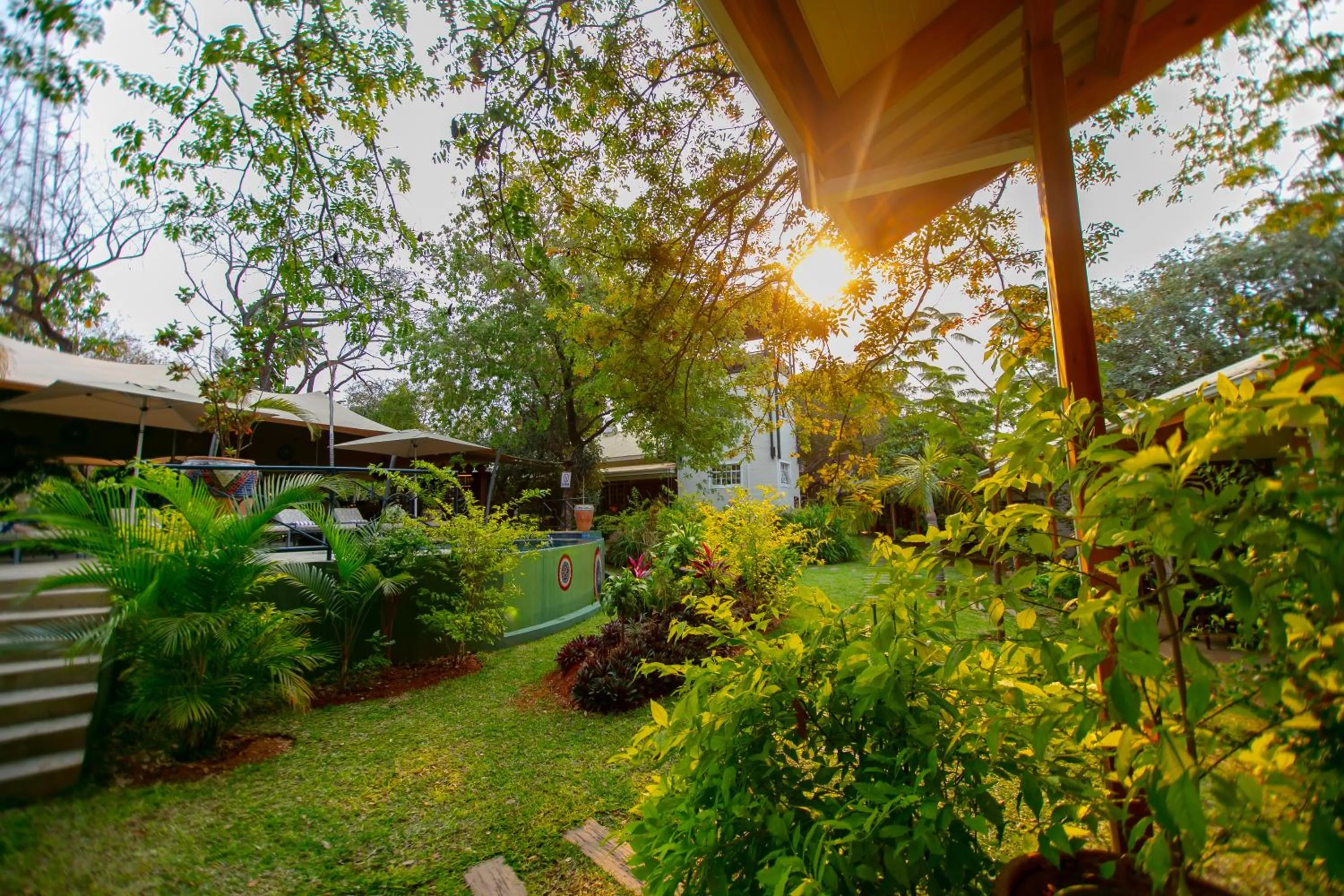 Garden in Shongwe Lookout