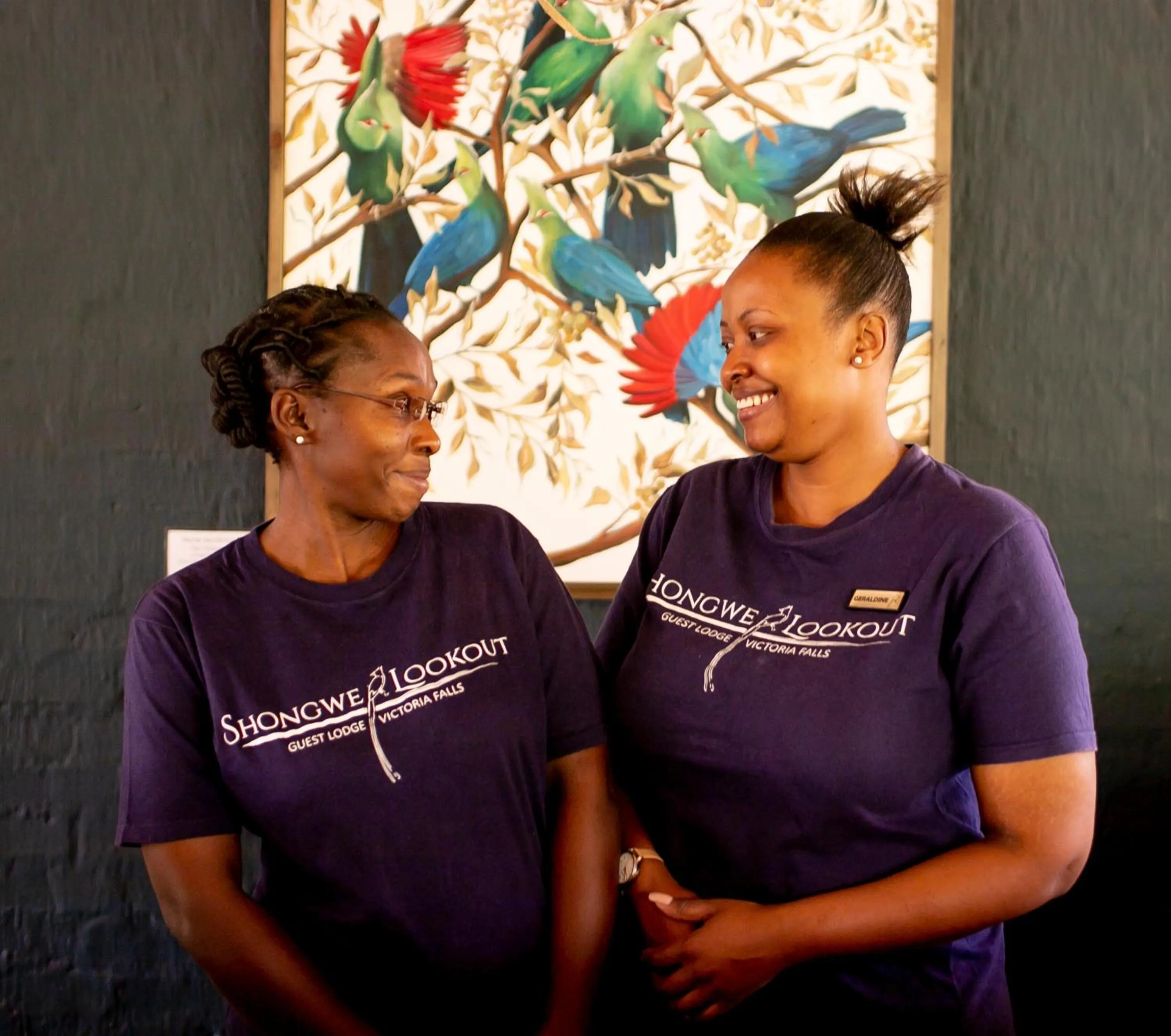 Property building in Shongwe Lookout