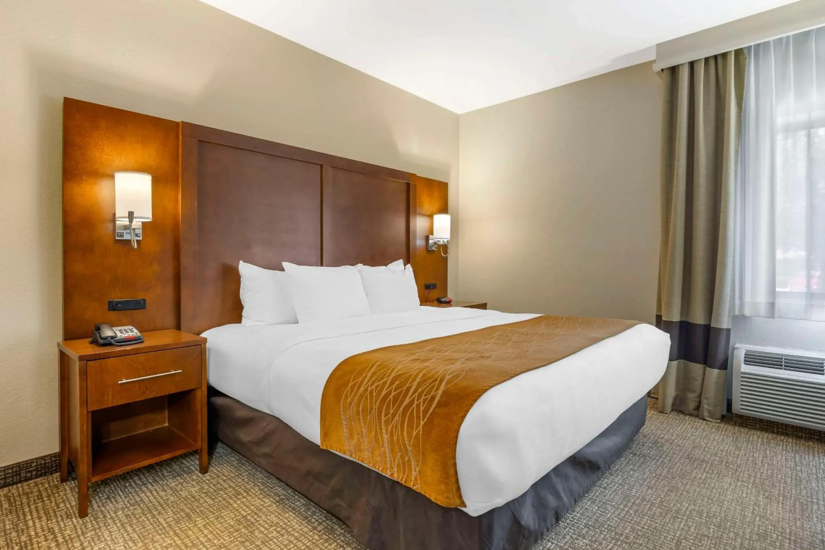 Standard King Room - Non-Smoking in Comfort Inn South - Springfield Standard King Room - Non-Smoking in Comfort Inn South - Springfield