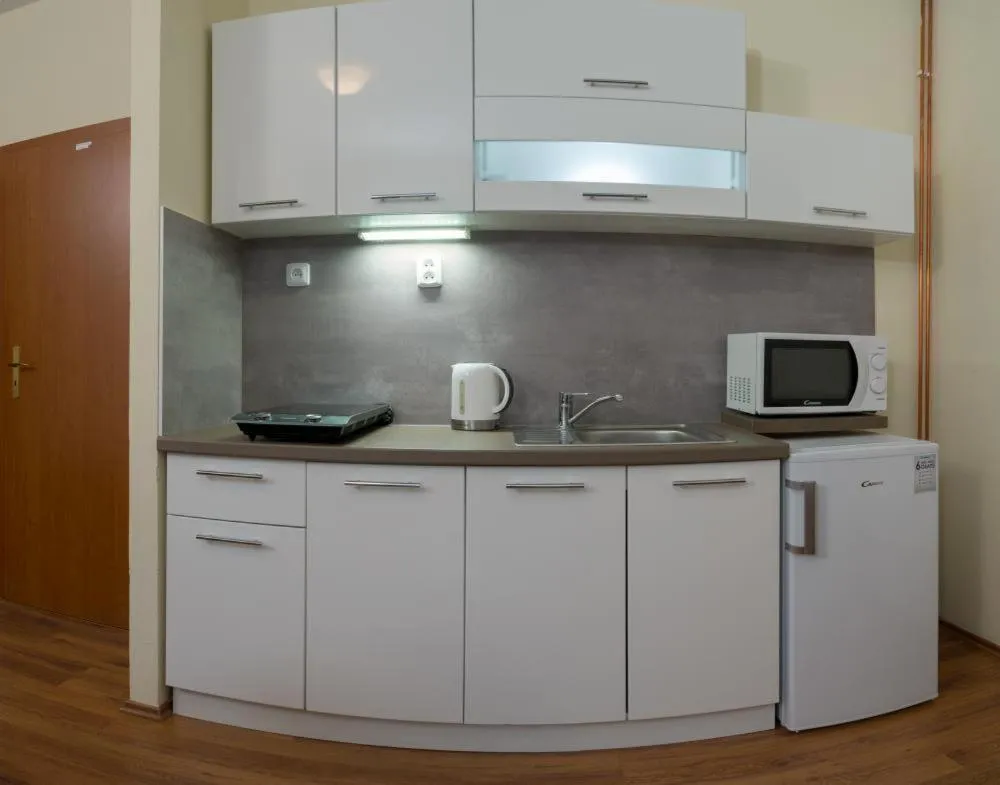 Kitchen or kitchenette in Apartmány Divoký Anděl
