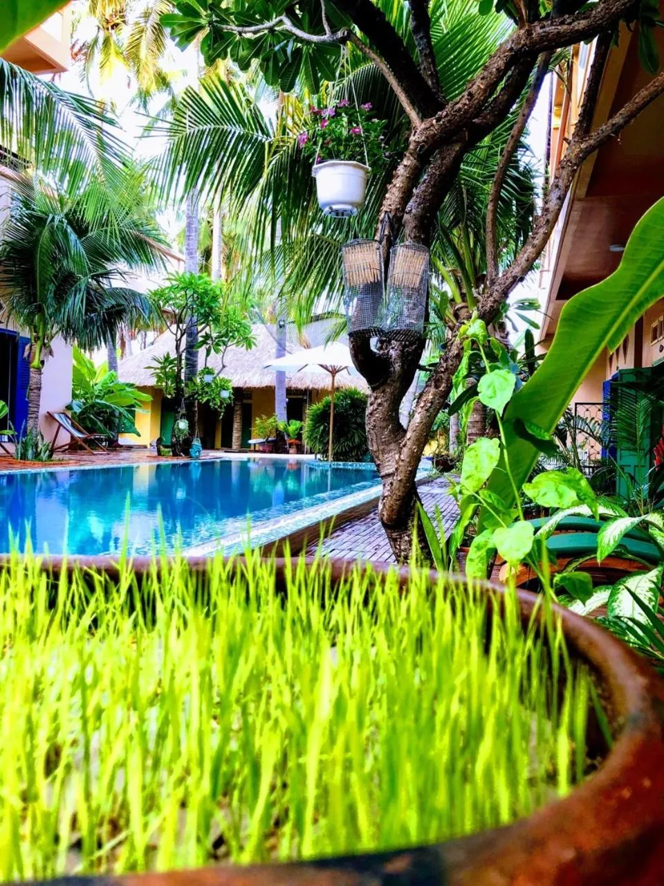 Garden in MiNhon Hotel Muine