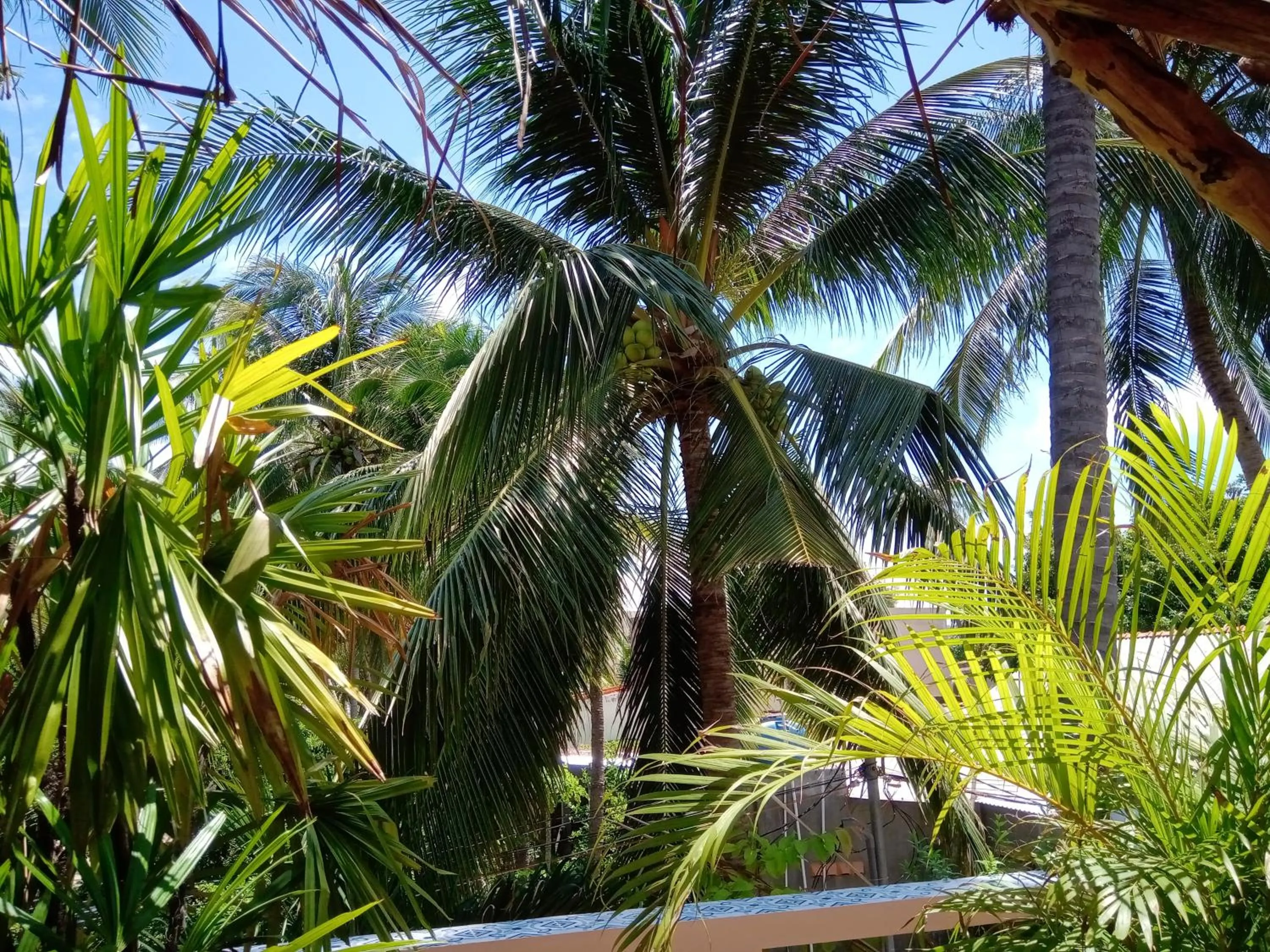 Street view in MiNhon Hotel Muine