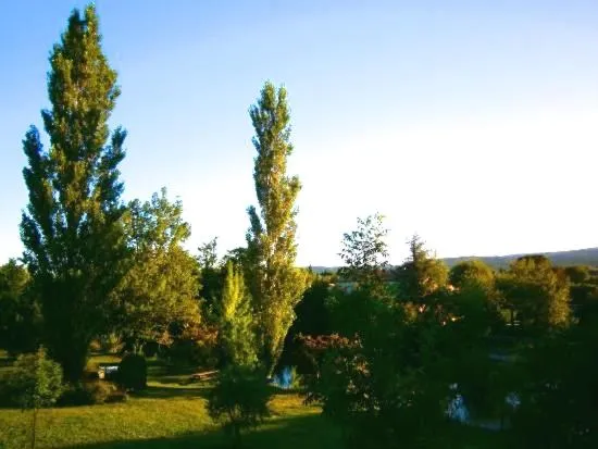Garden in Mas Le Pont des Aubes