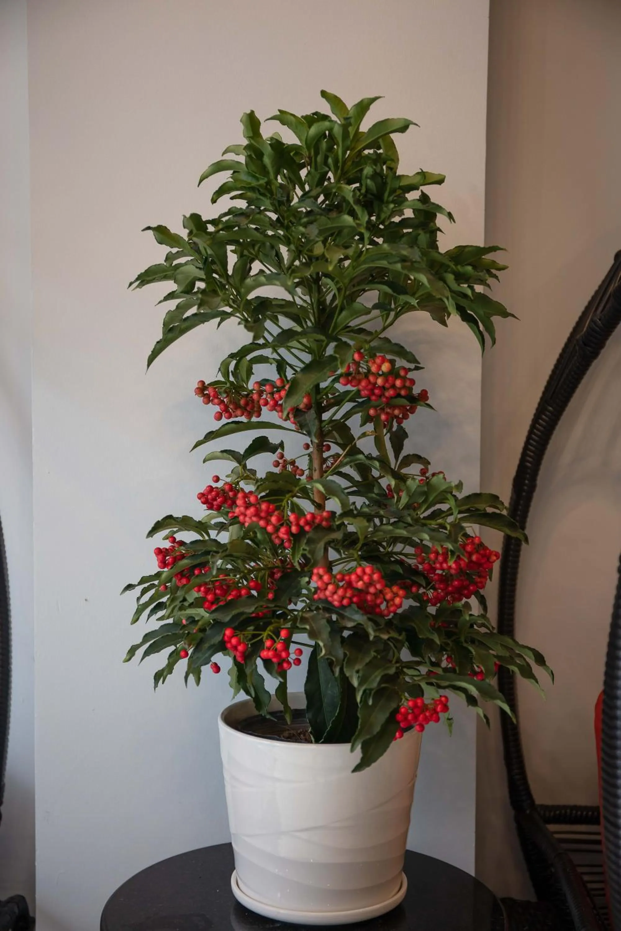 Decorative detail in Babylon Premium Hotel & Spa