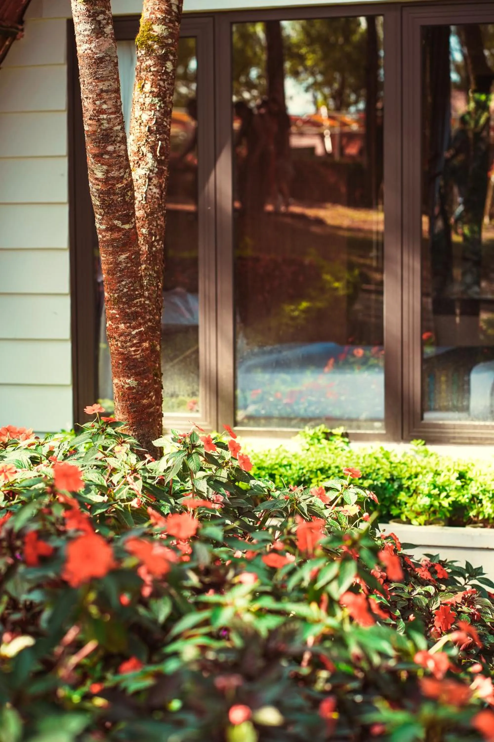 TTC Dreamy Hill Resort - Unlimited Access to TTC World - Thung Lung Tinh Yeu