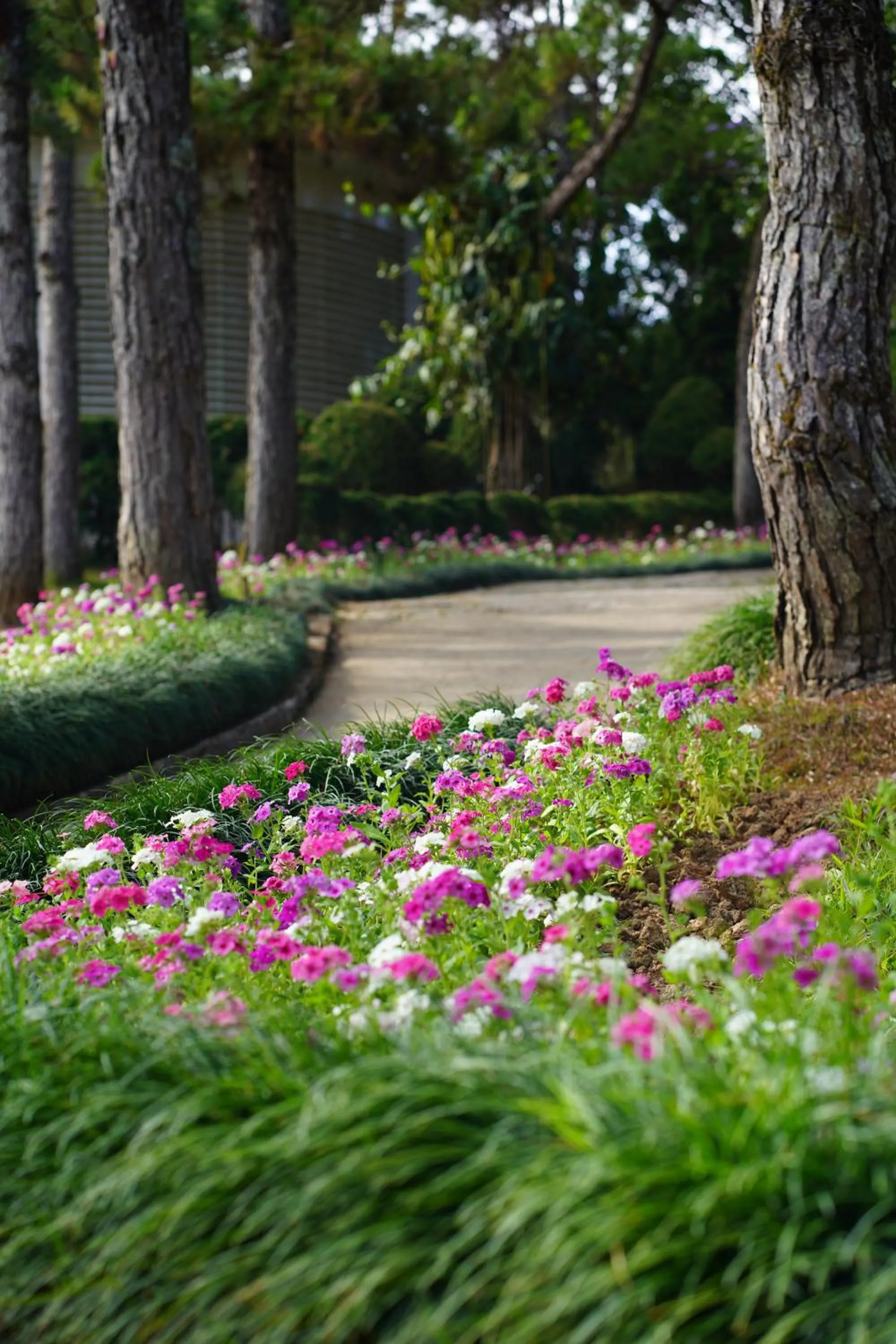 Natural landscape in TTC Dreamy Hill Resort - Unlimited Access to TTC World - Thung Lung Tinh Yeu