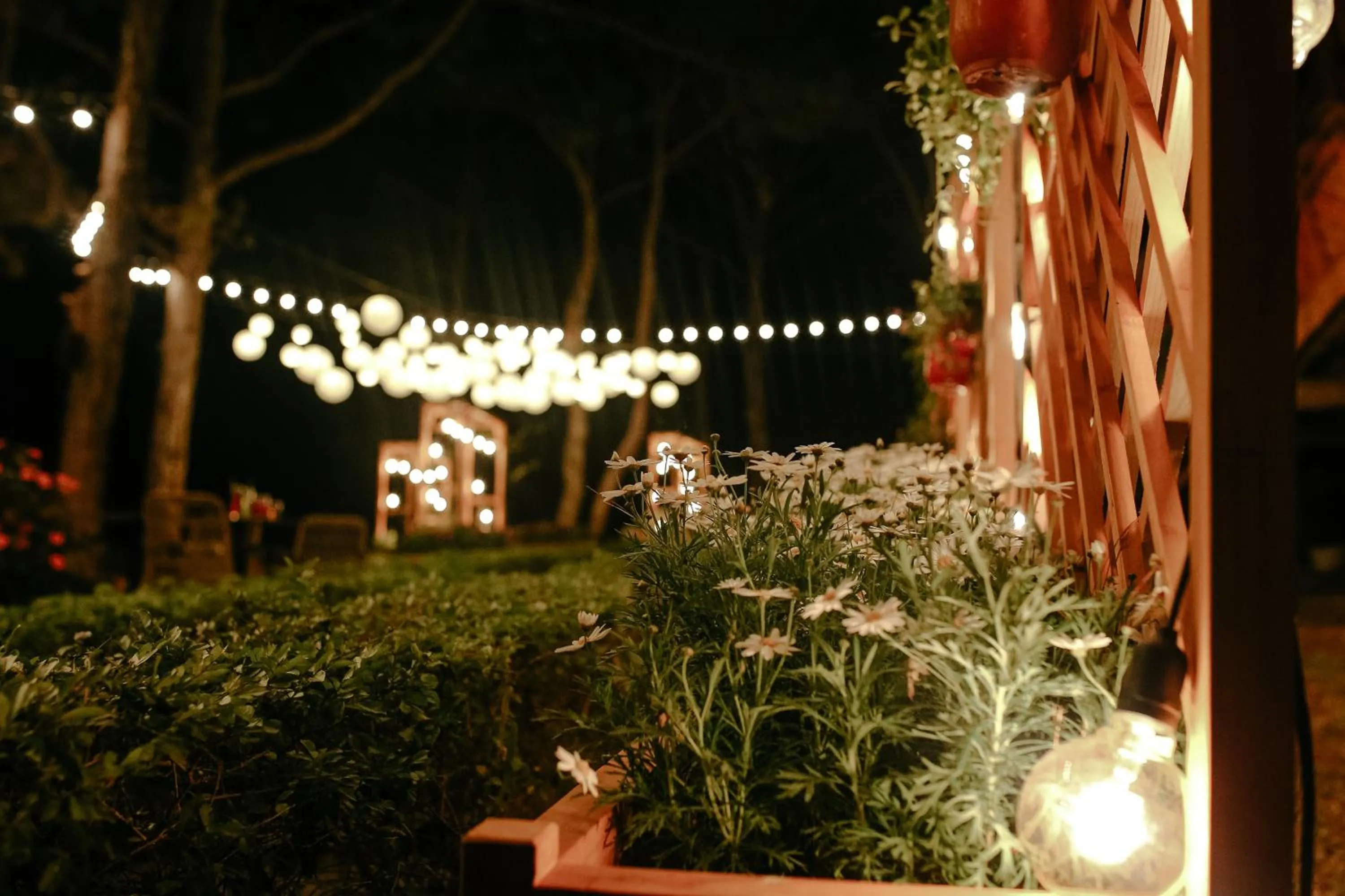 Garden in TTC Dreamy Hill Resort - Unlimited Access to TTC World - Thung Lung Tinh Yeu