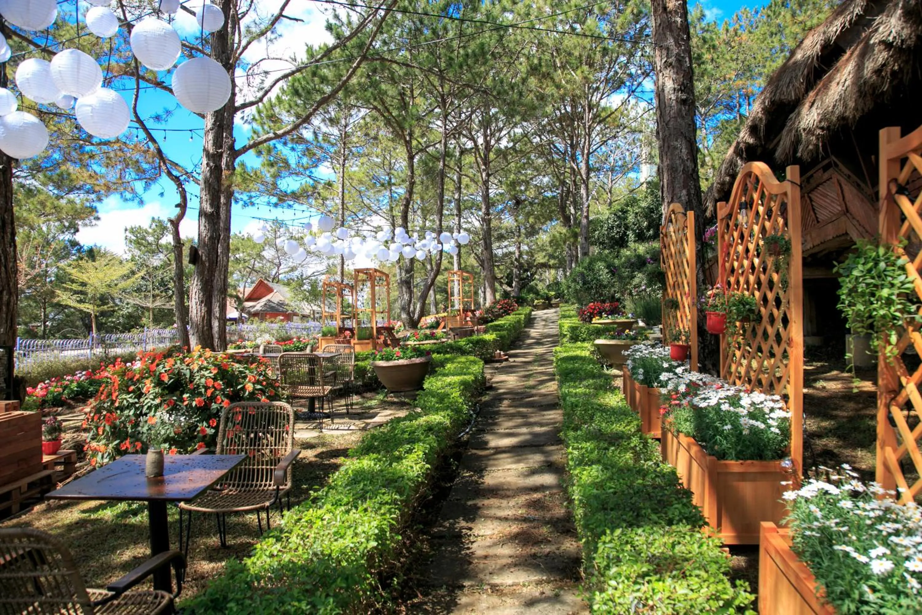 Restaurant/places to eat in TTC Dreamy Hill Resort - Unlimited Access to TTC World - Thung Lung Tinh Yeu