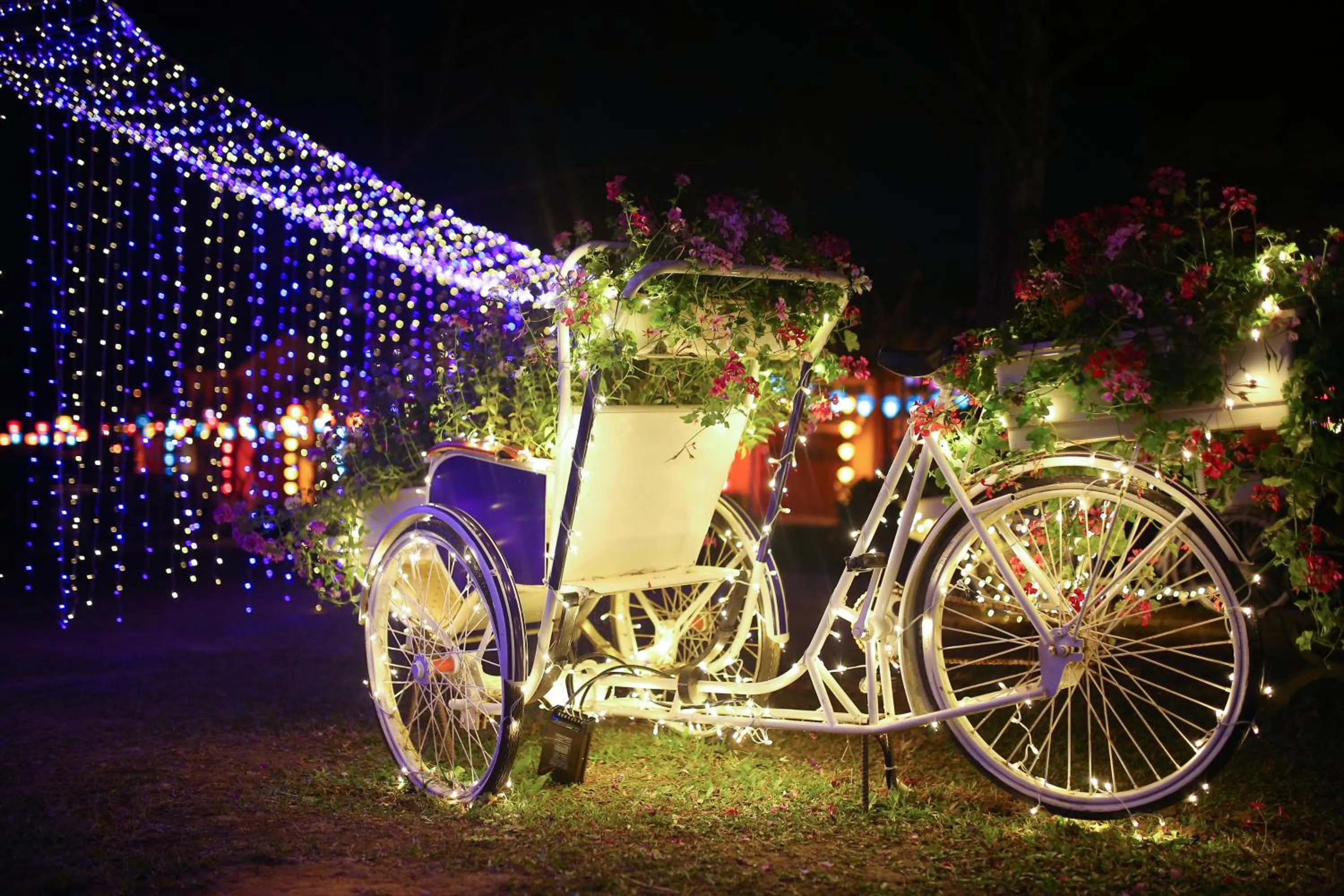 Garden in TTC Dreamy Hill Resort - Unlimited Access to TTC World - Thung Lung Tinh Yeu