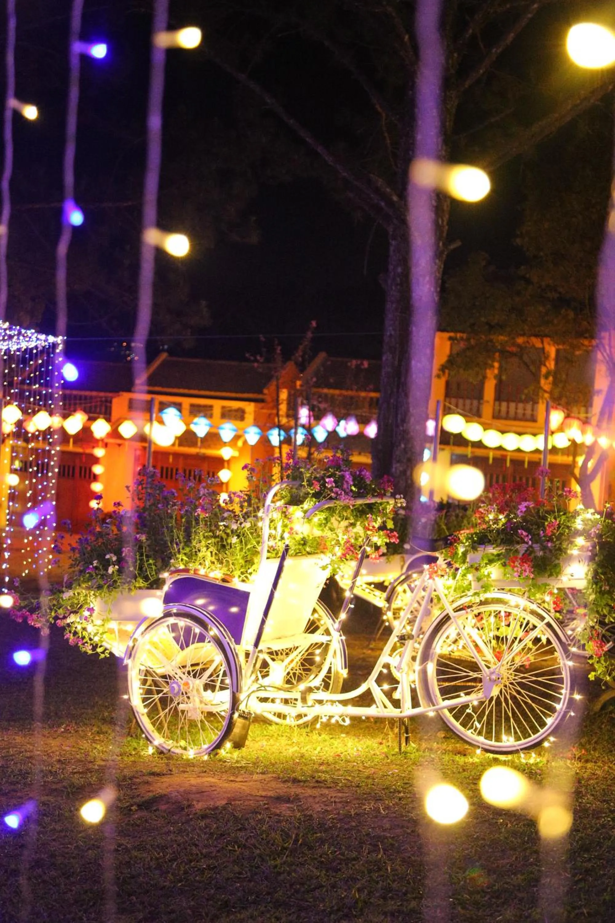 Other in TTC Dreamy Hill Resort - Unlimited Access to TTC World - Thung Lung Tinh Yeu