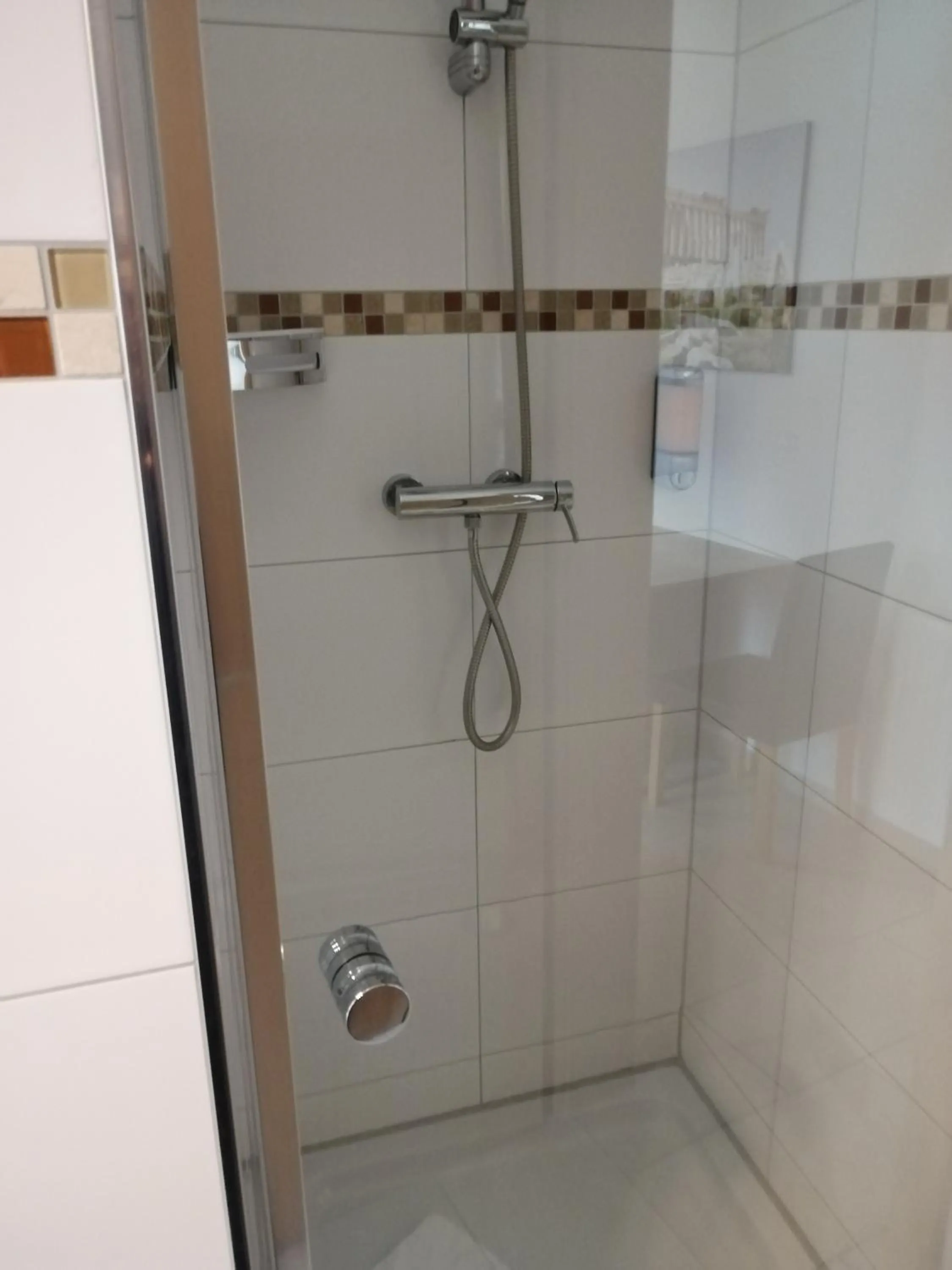 Shower in Hotel-Restaurant Zum Bäumle