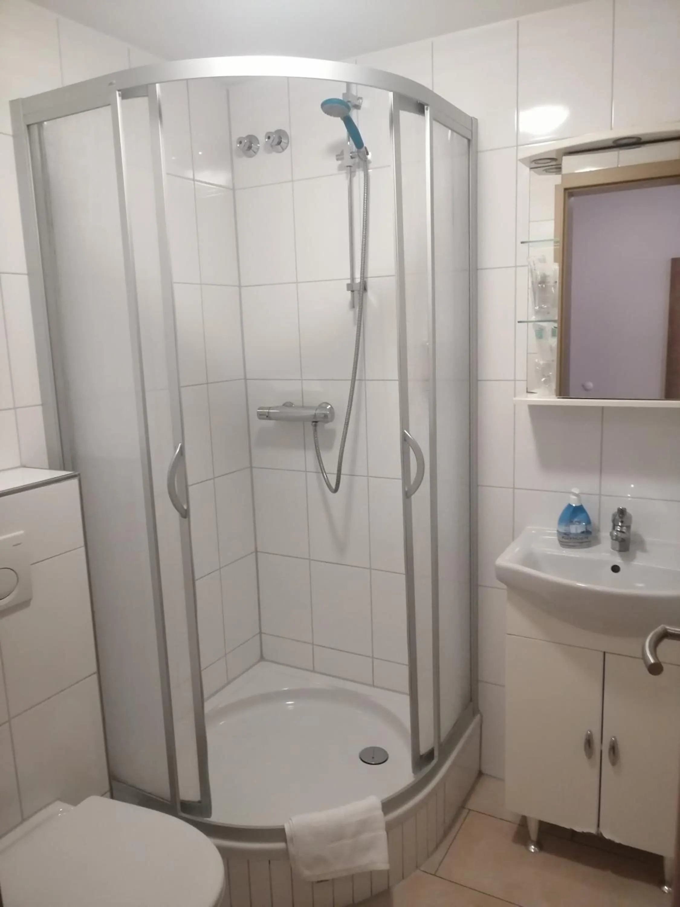 Shower in Hotel-Restaurant Zum Bäumle