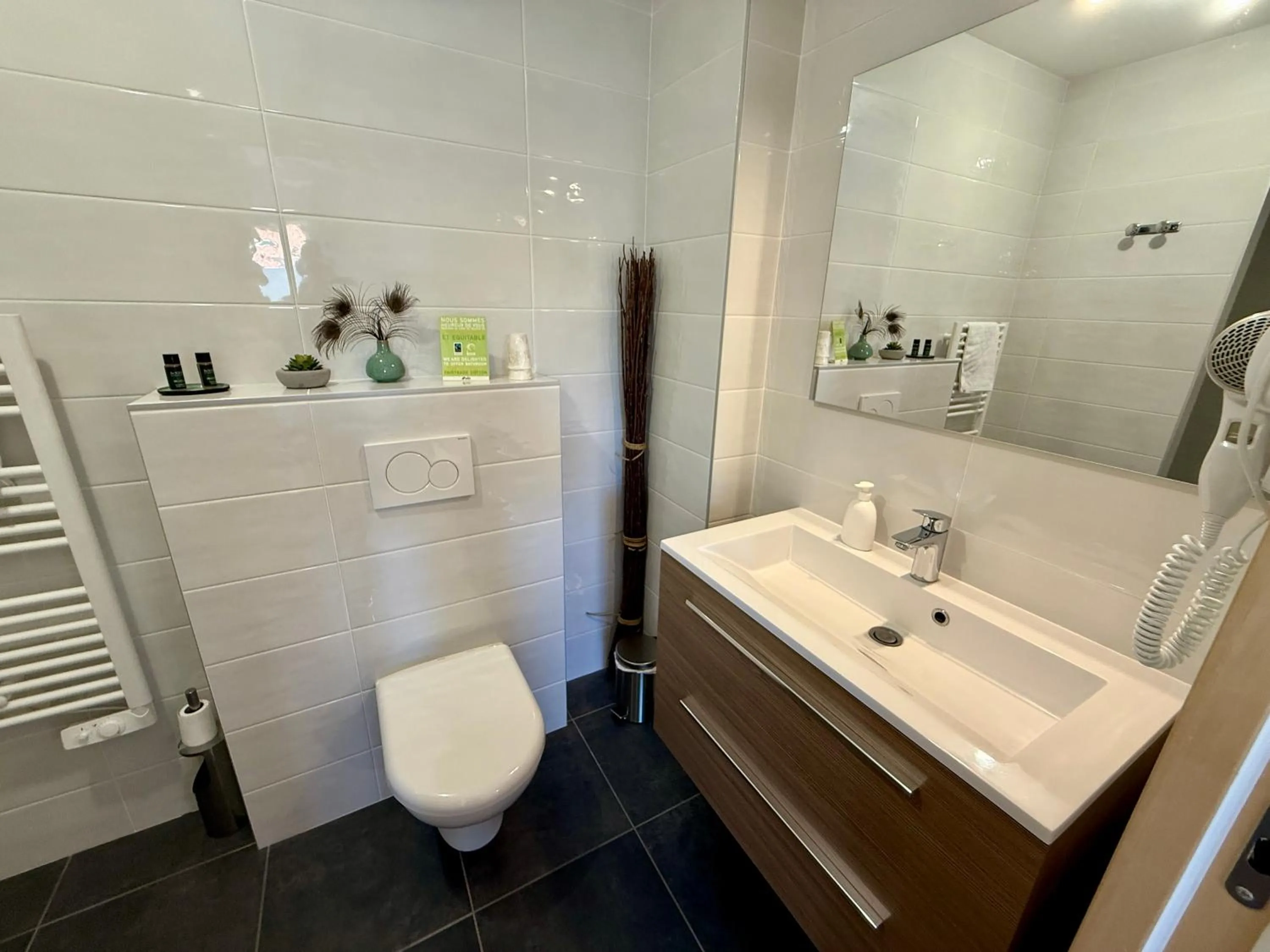 Toilet in Chambres d'hôtes Grange Debout