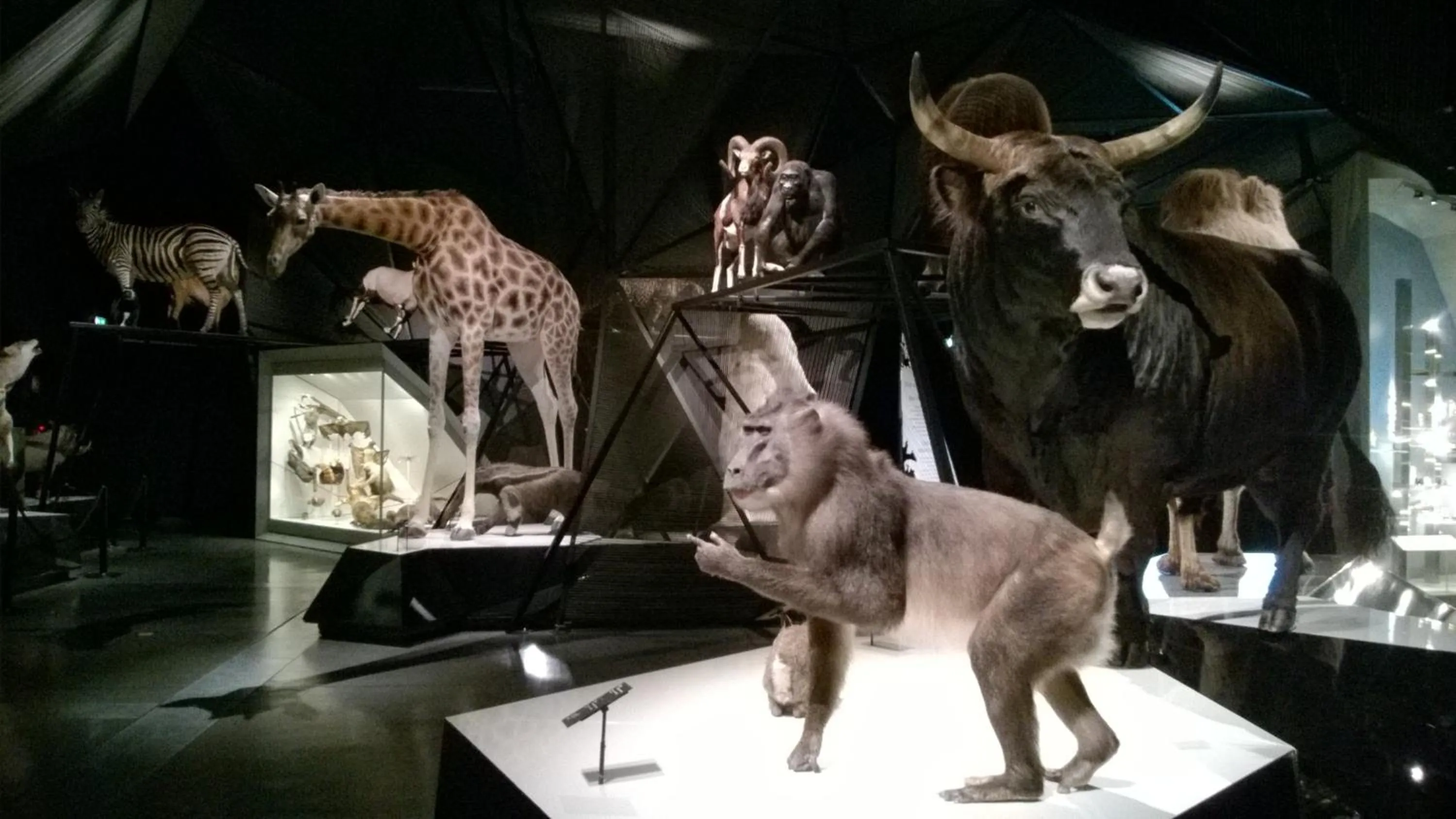 Activities in Chambres d'hôtes Grange Debout